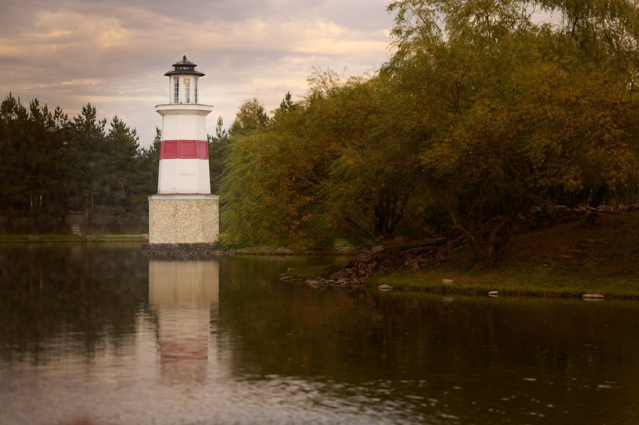 Отзывы. Яркий репортажный фотограф в Москве Лоскутов Глеб