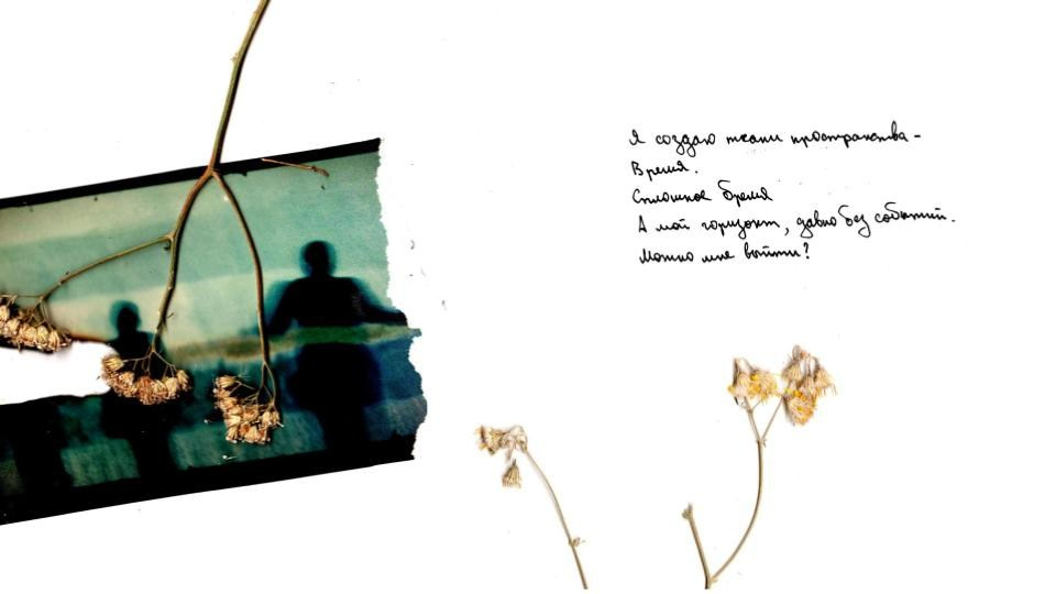 REGENERATION. Timeless Art