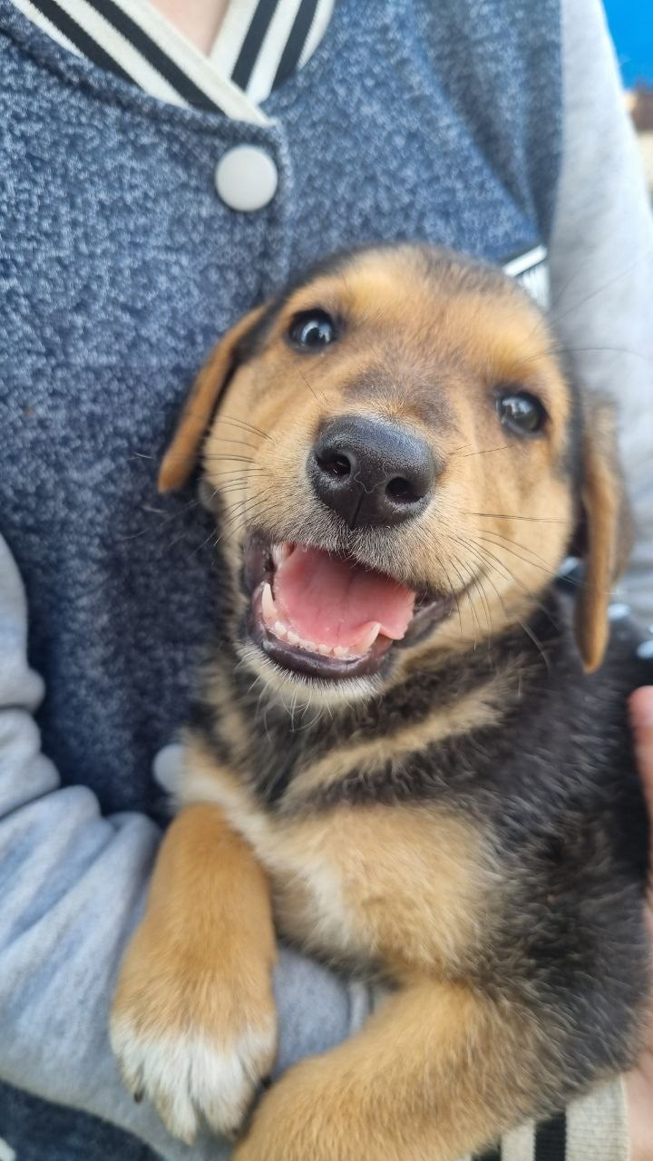 КУРС ПО ФОТО/ВИДЕО СЪЕМКЕ «СЧАСТЬЕ В ПРОСТОМ». Фотография. Визуально-чувственный мир души