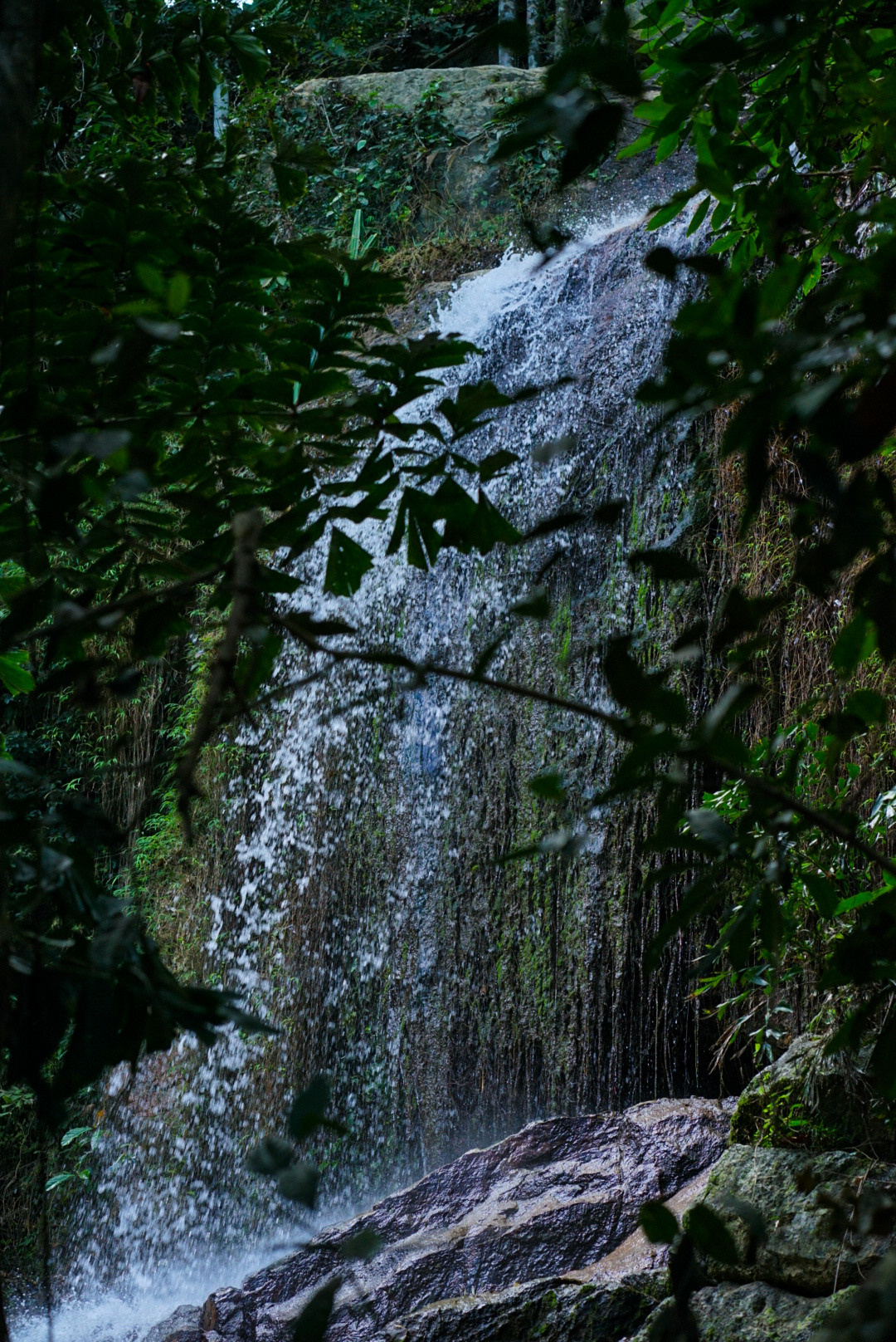 THAILAND — KOH SAMUI. AnatoliiVolf