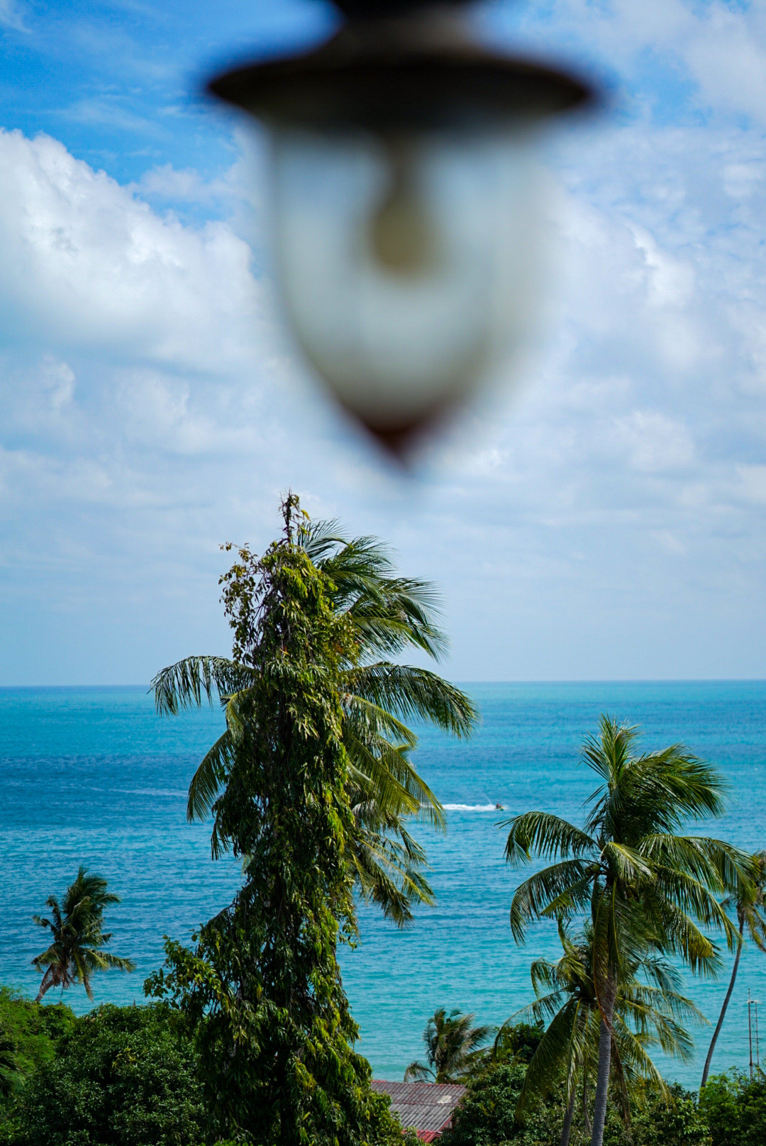 THAILAND — KOH SAMUI. AnatoliiVolf