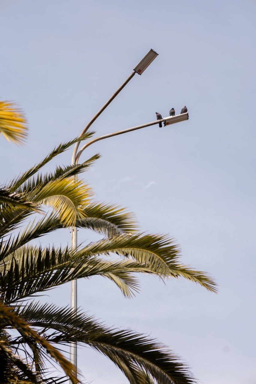 Сочи 2025. Фотограф Михаил Олейник