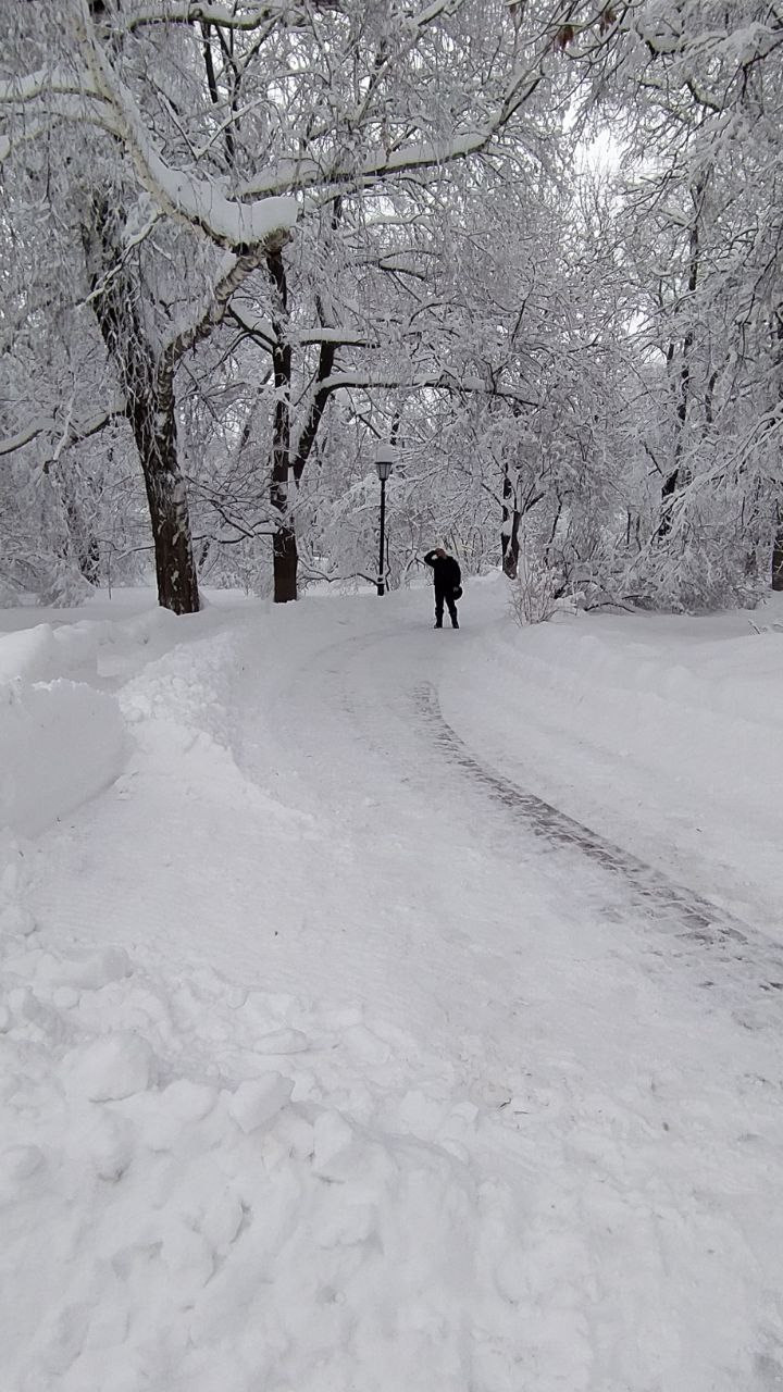 Сайты для фотографов и художников на Wfolio