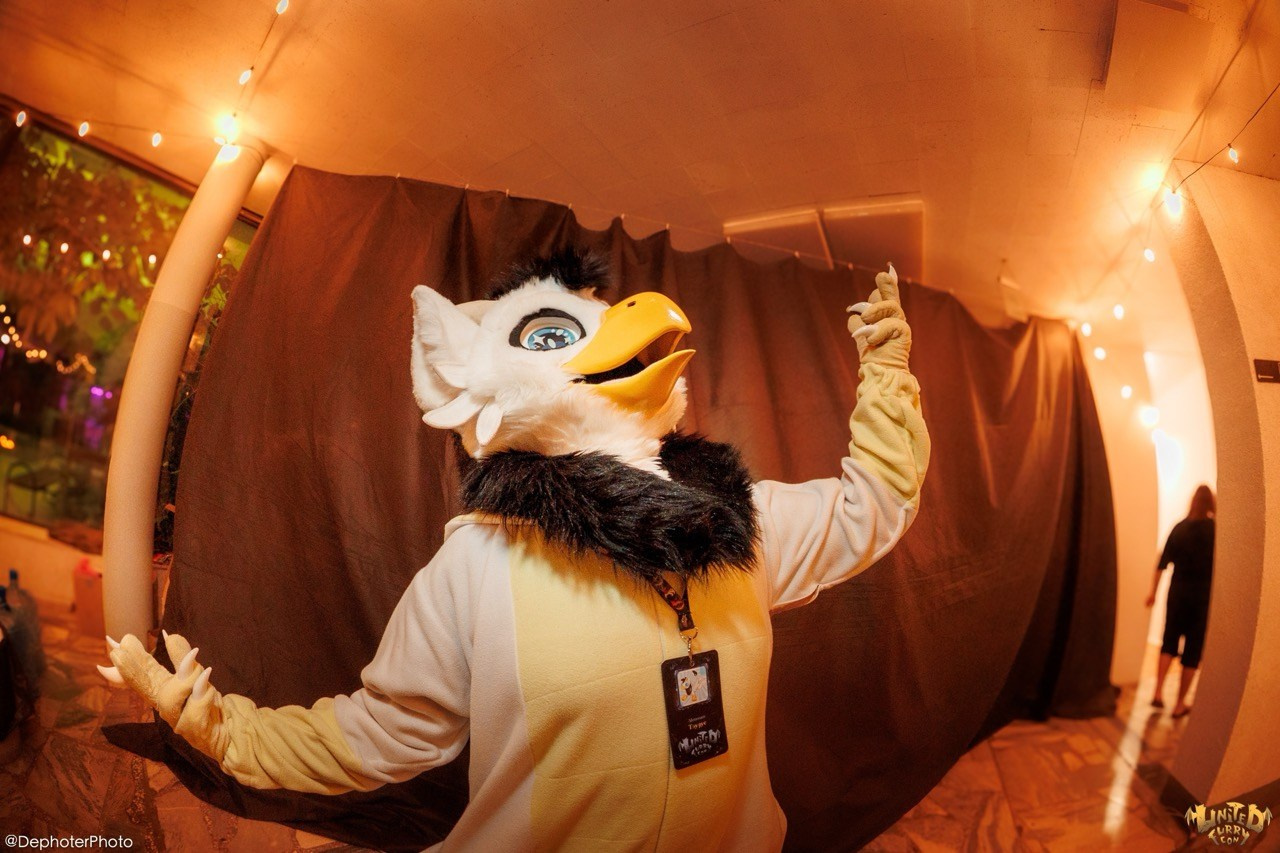 United Furry Convention 2026. Различные мероприятия и просто фотографии людей