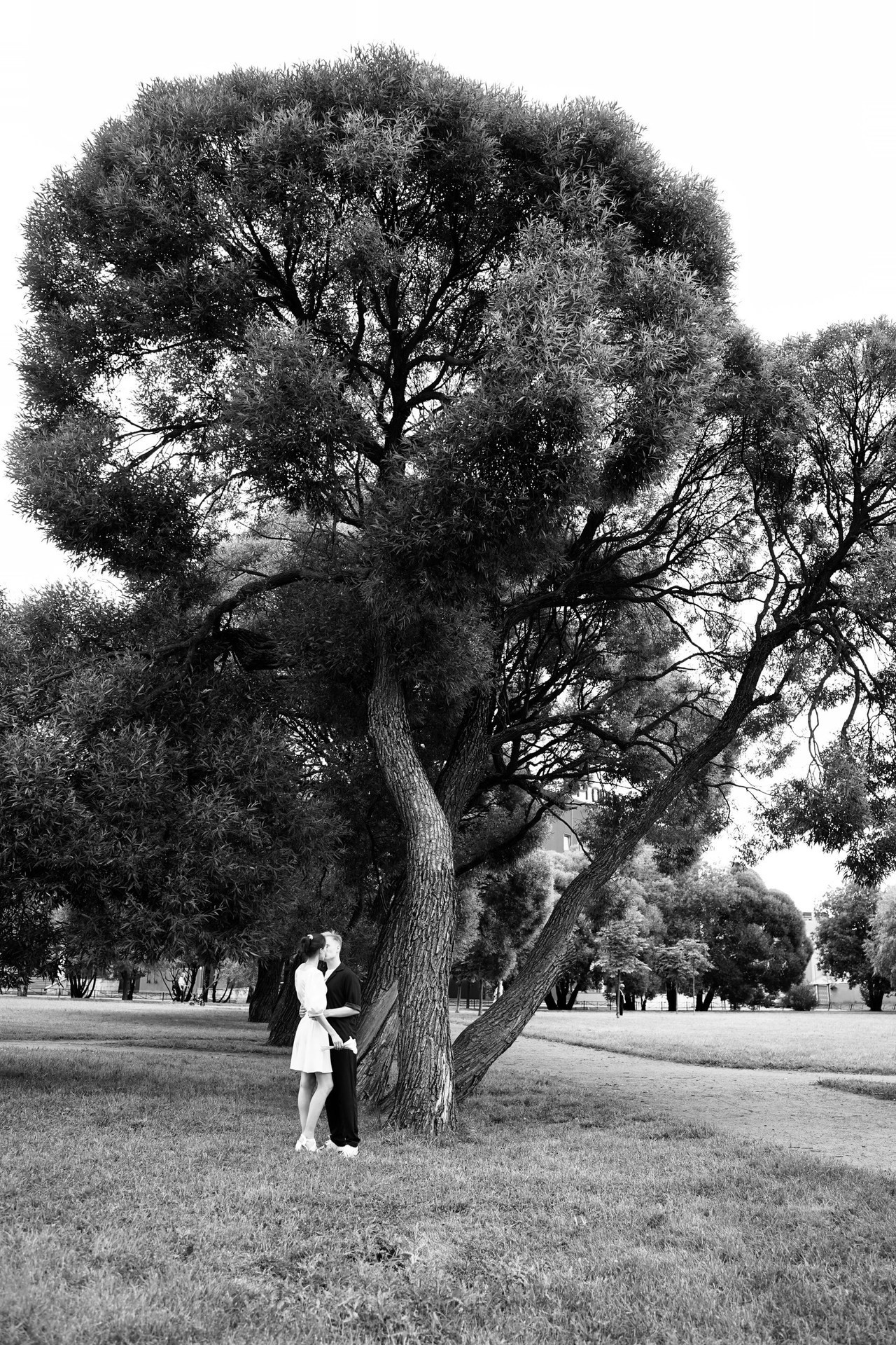 Express wedding ii. Фотограф Анастасия Шай в Санкт-Петербурге