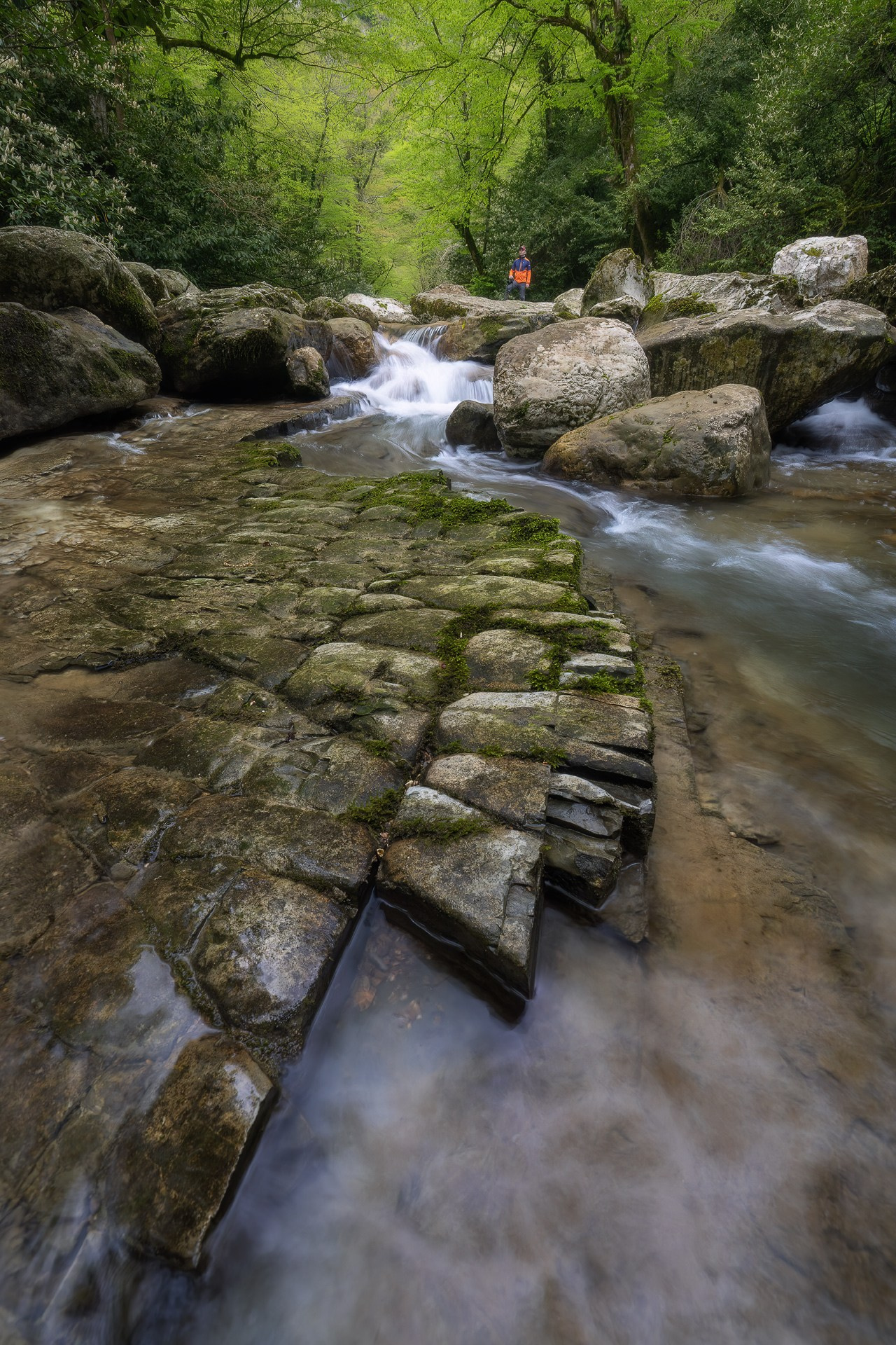 КРАСНОДАРСКИЙ КРАЙ-АДЫГЕЯ. Фототуры и обучение пейзажной фотографии