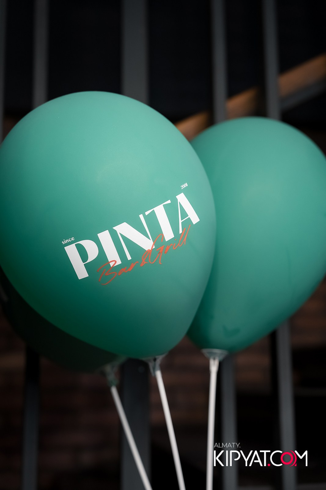 ПИНТА НА ГОГОЛЯ. КИПЯТКОМ АЛМАТЫ!