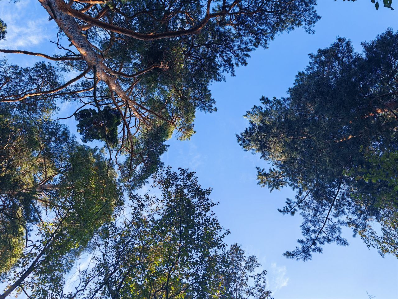 МЕРОПРИЯТИЯ 2025. МОТОШКОЛА в городе Витебске. Обучение категории А и А1