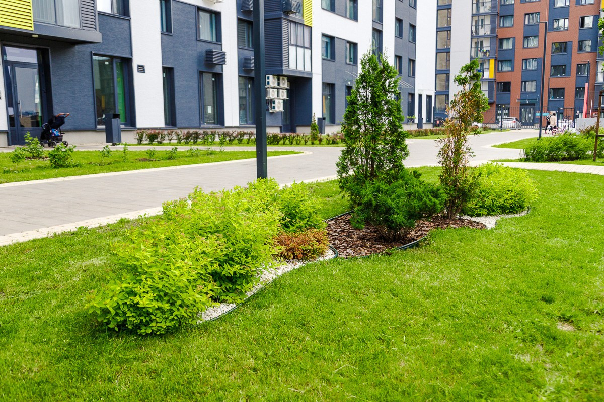 БИЗНЕС КОНТЕНТ. АЛЕКСАНДР ФОКС