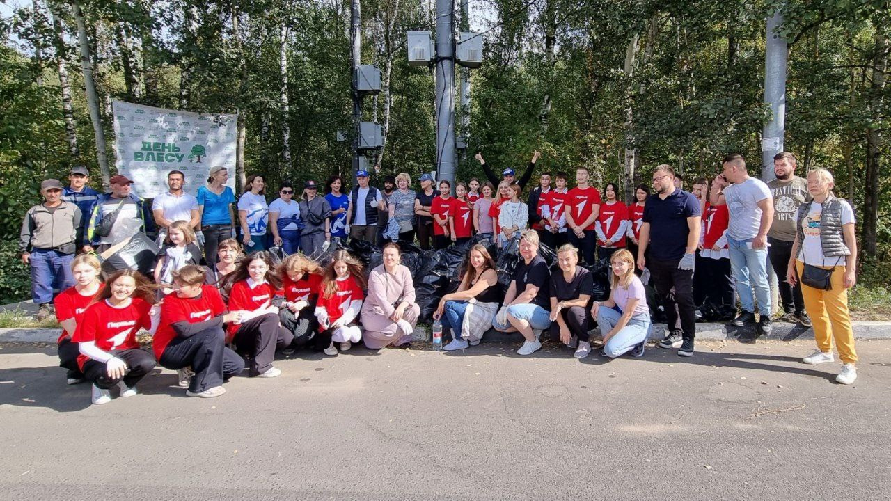 Субботник "День в лесу" в микрорайоне Южный г. Домодедово.