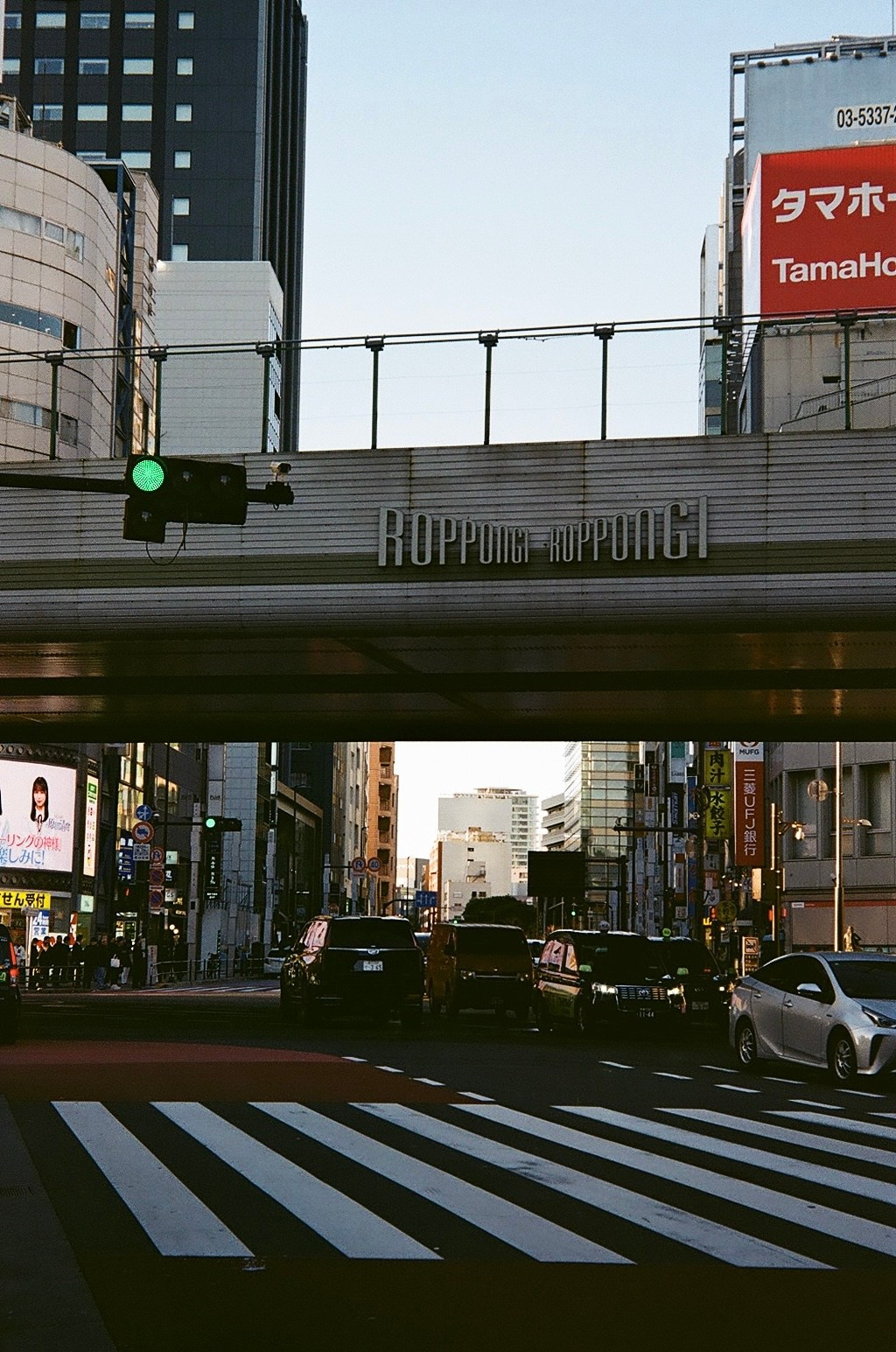 Пленка. Фотограф Алина Диева Москва | Токио