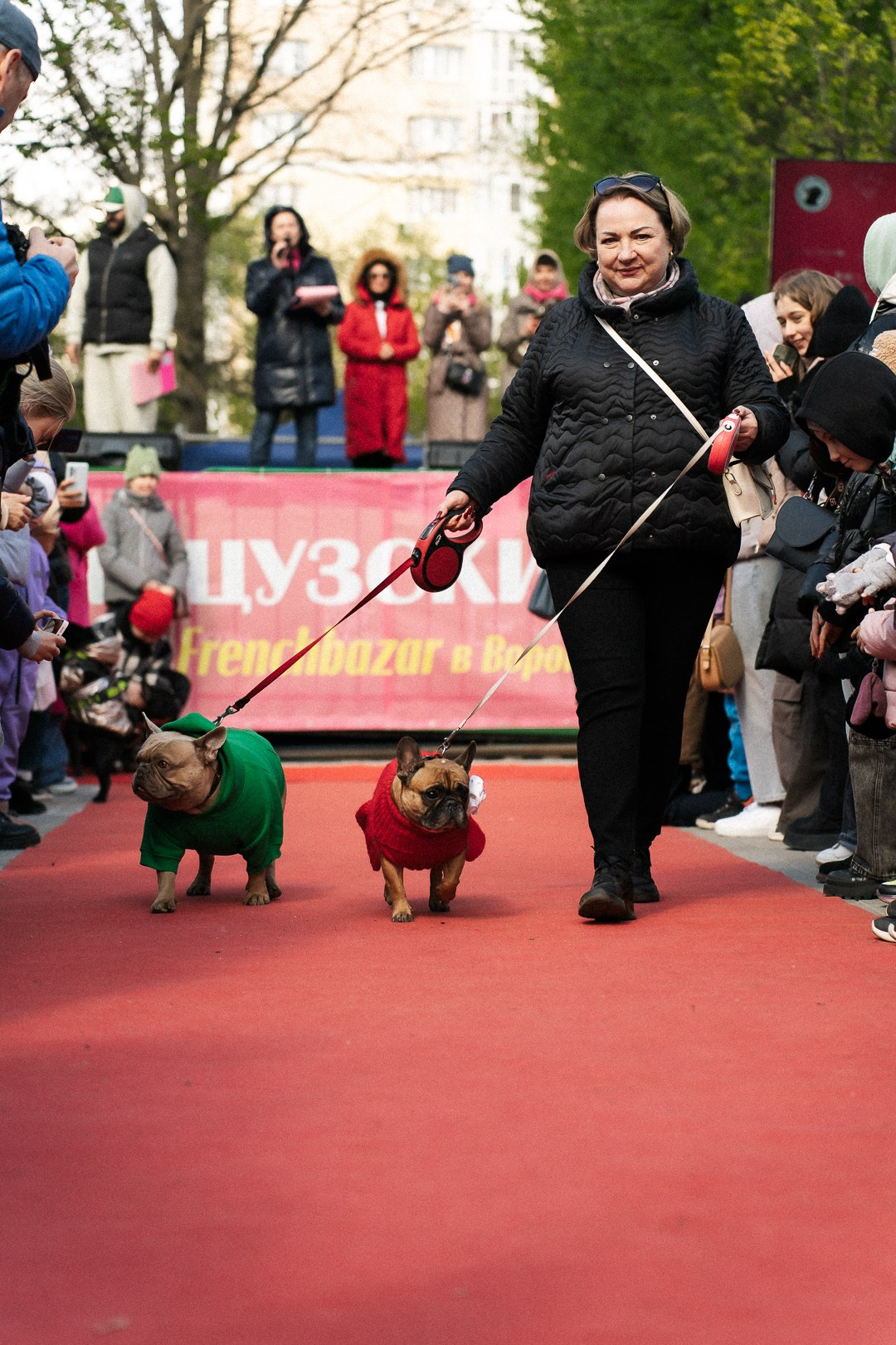 Парад Бульдогов. Axenov_eugene