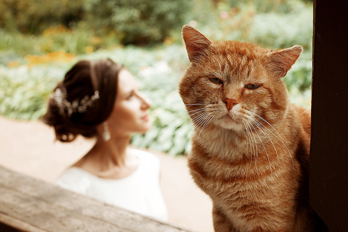 Свадебный фотограф в СПб. Фотограф крещение венчание в Петербурге! Помогает подобрать храм и посоветовал душевного батюшку в СПб
