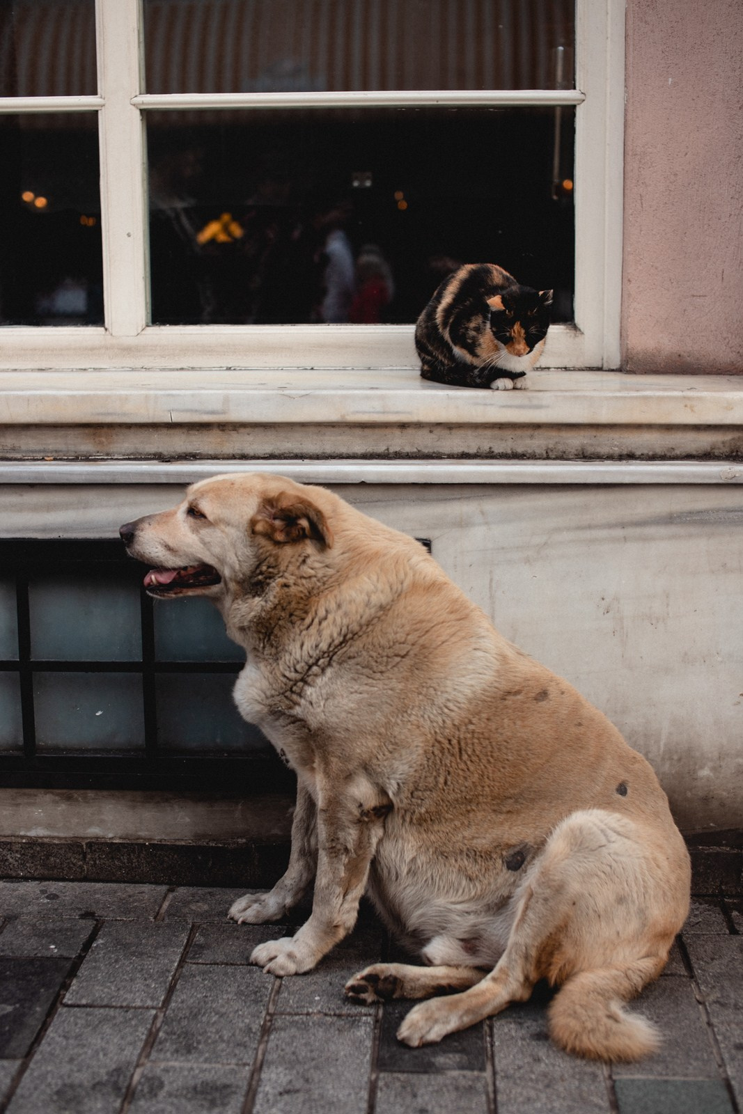 ПУТЕШЕСТВИЯ. Репортажный и концертный фотограф в Москве Анастасия Осень