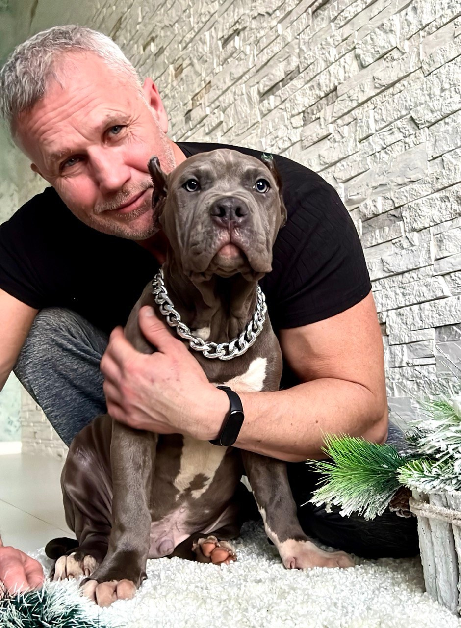 Все свободные щенки. Американские булли XL в г. Калининград. Питомник Great Bully UNIVERSE