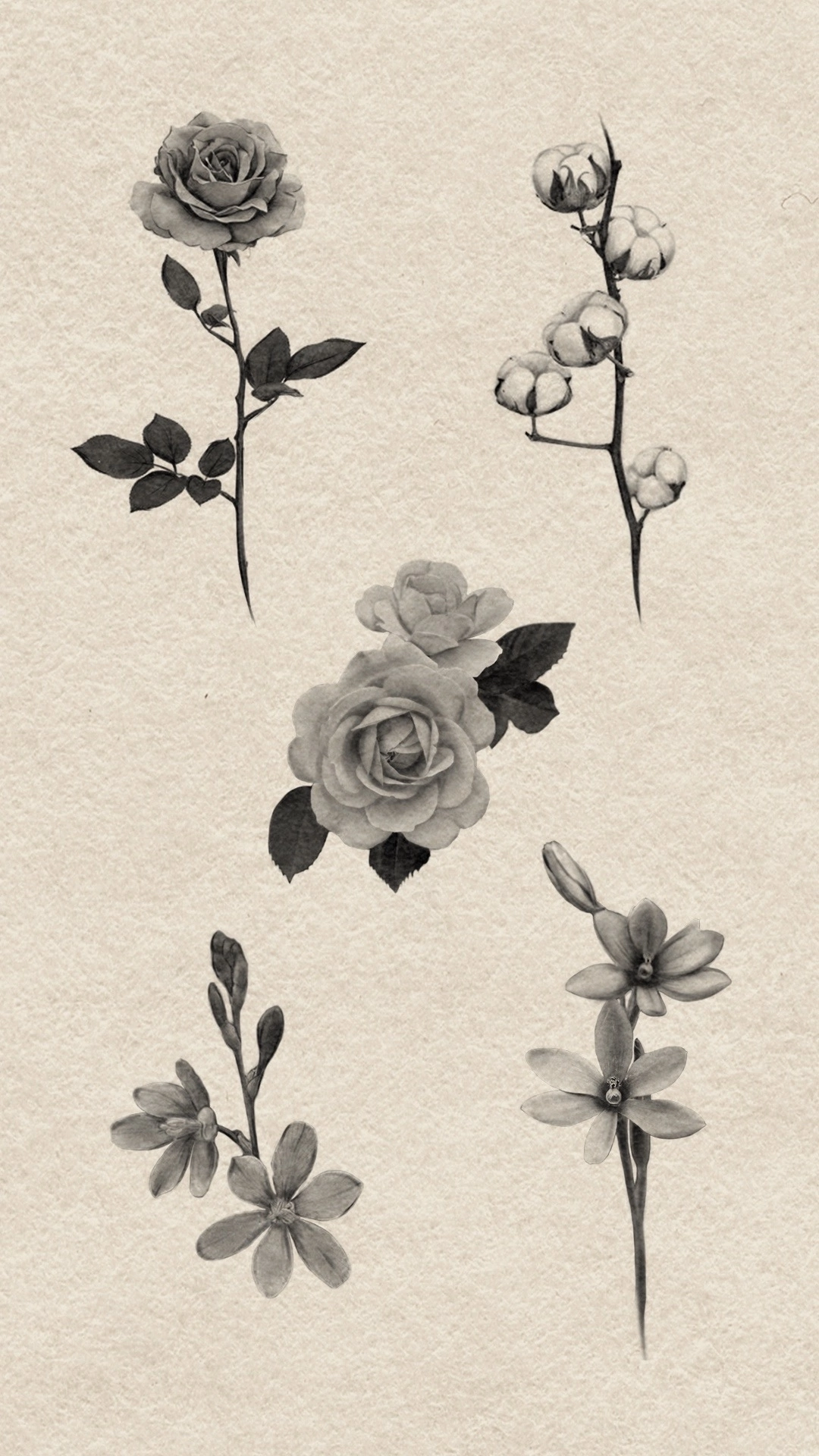 Марина Пронина. Обучение тату Хабаровск. Диплом гос.образца. татуировки Хабаровск