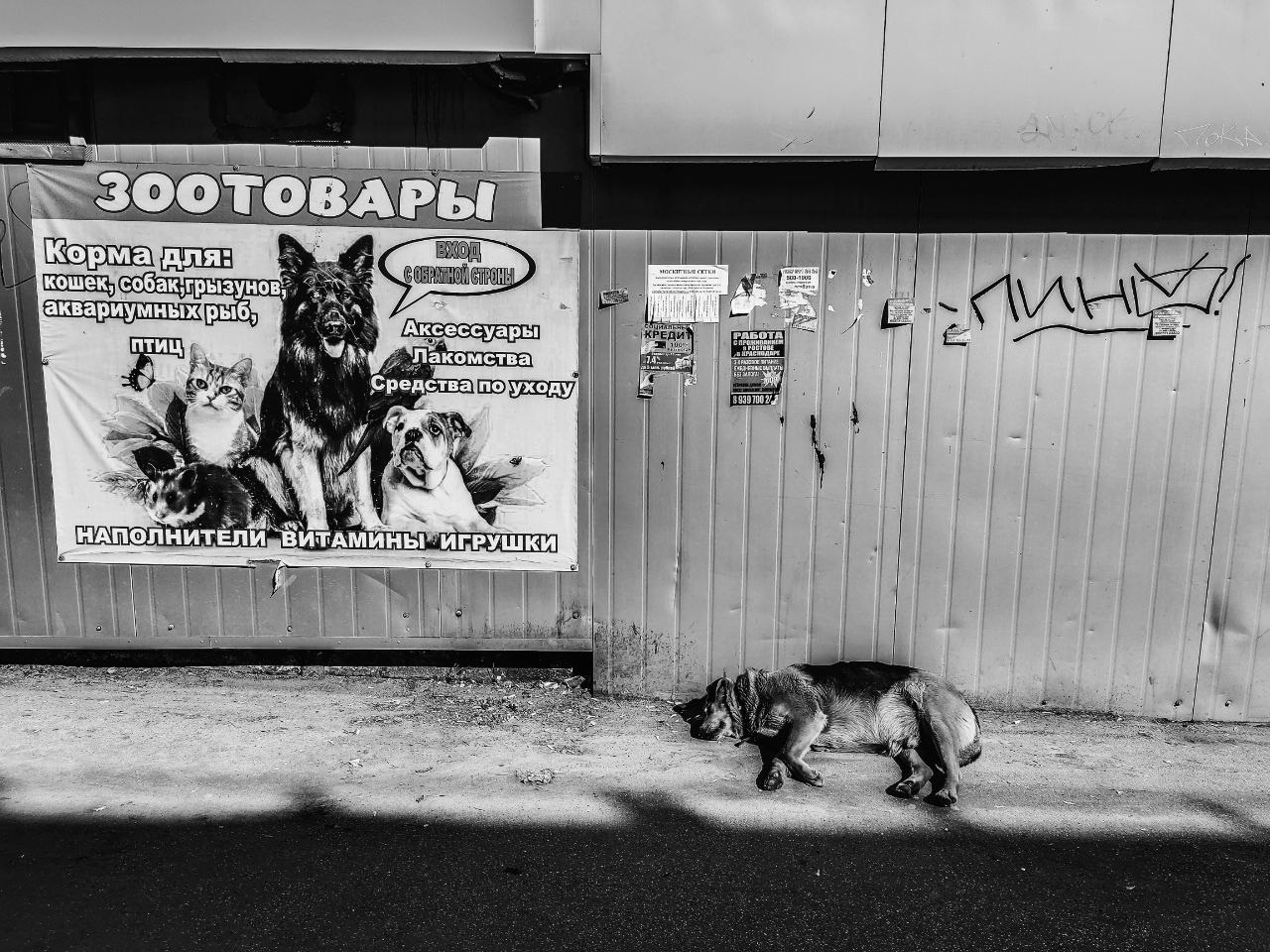 Чупанин Алексей. Фотообъединение Самарского областного отделения Союза журналистов России