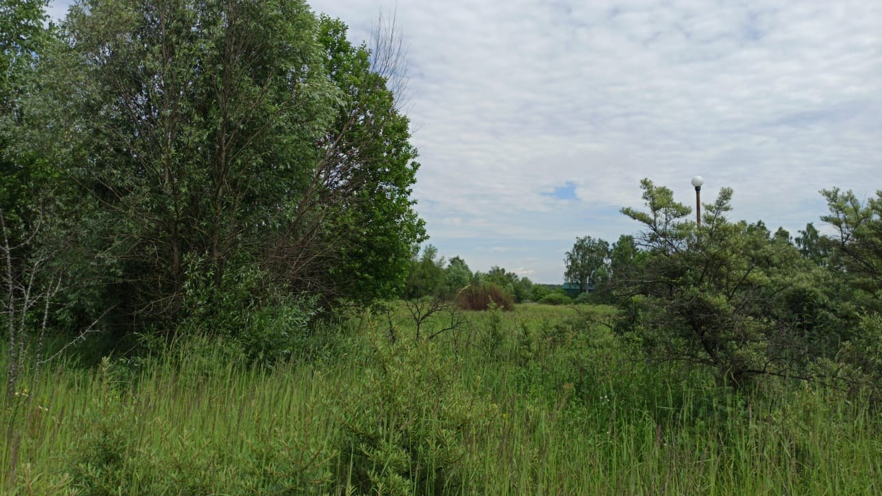 Походная Романтика 31. ФанФест на Клязьме | 2020. Галерея Фантим