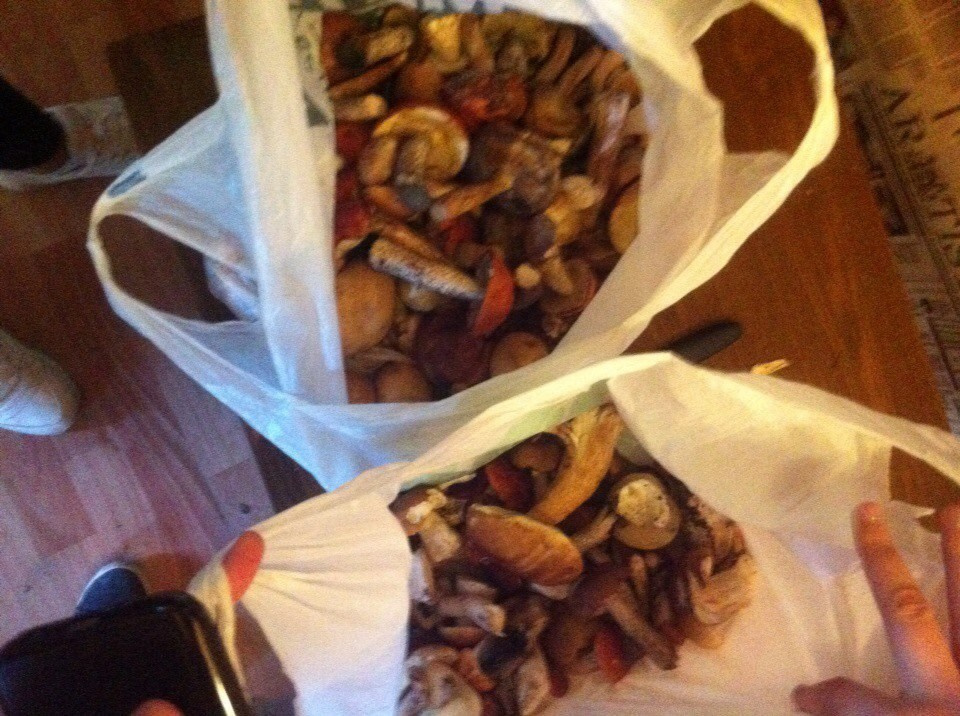 Деревенский выезд 2 | 26-28.08.2016. Галерея Фантим