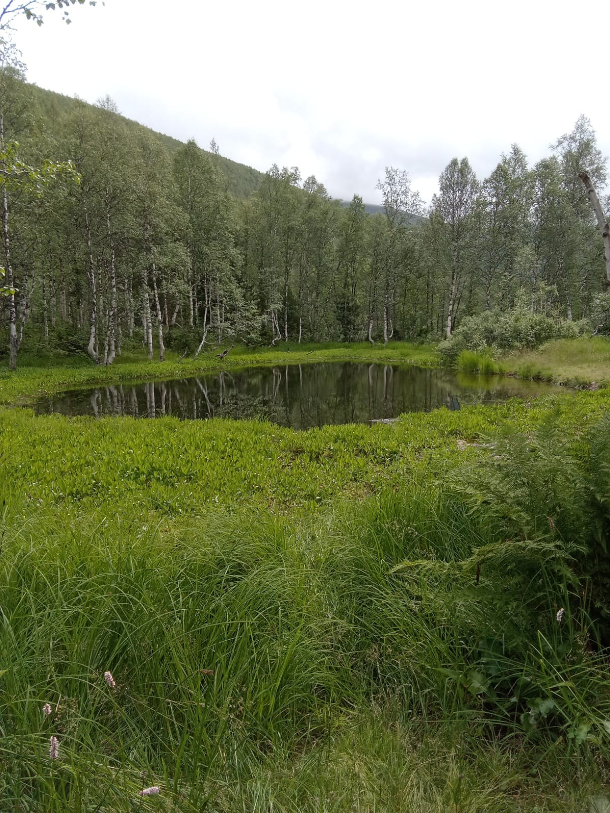 ТУР ПО ХАКАСИИ. Путешествия по России, Казахстану, подбор билетов
