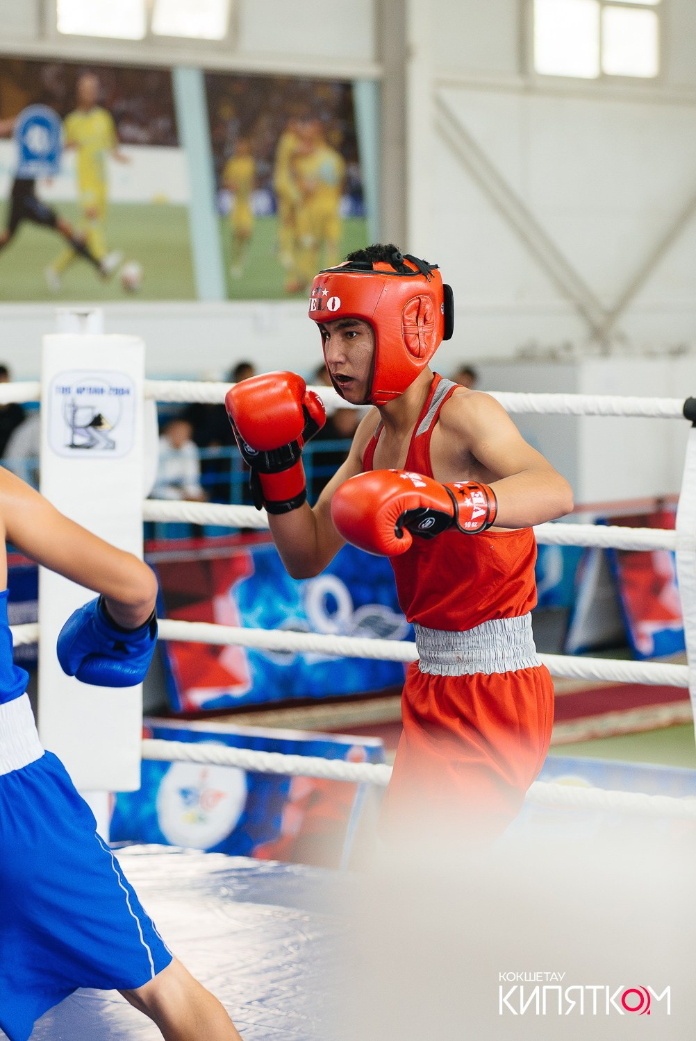 Турнир по боксу. КИПЯТКОМ КОКШЕТАУ