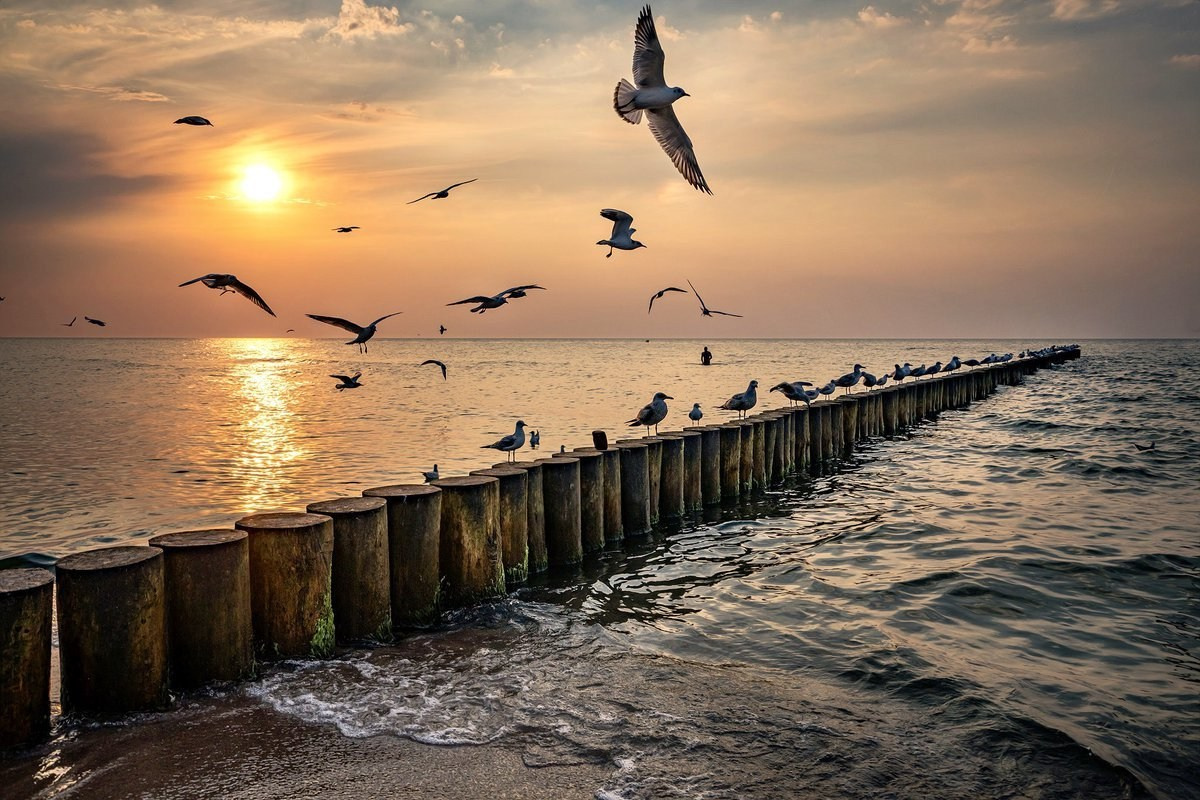 Море Балтики, берег Балтики