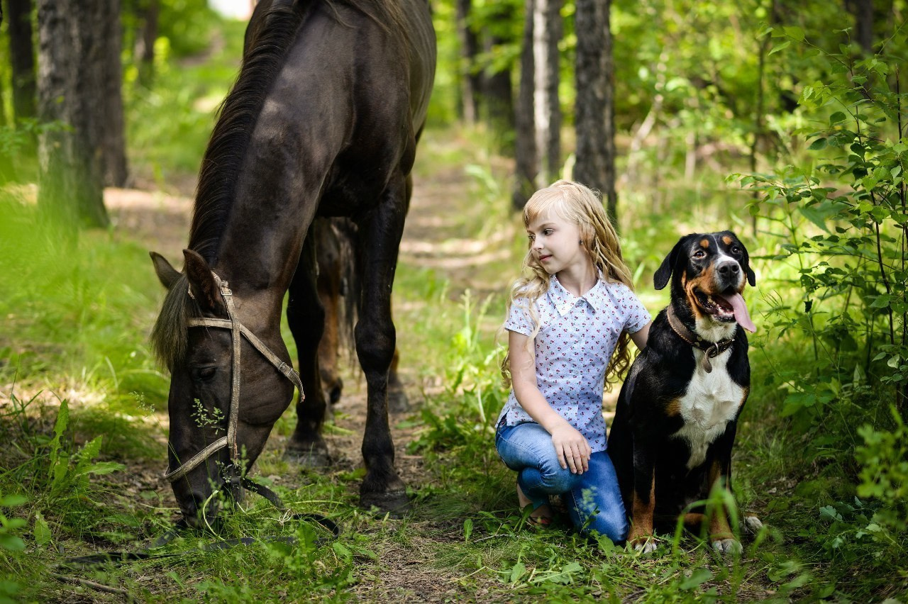 Конные прогулки в клубе «Анкор» — Омск