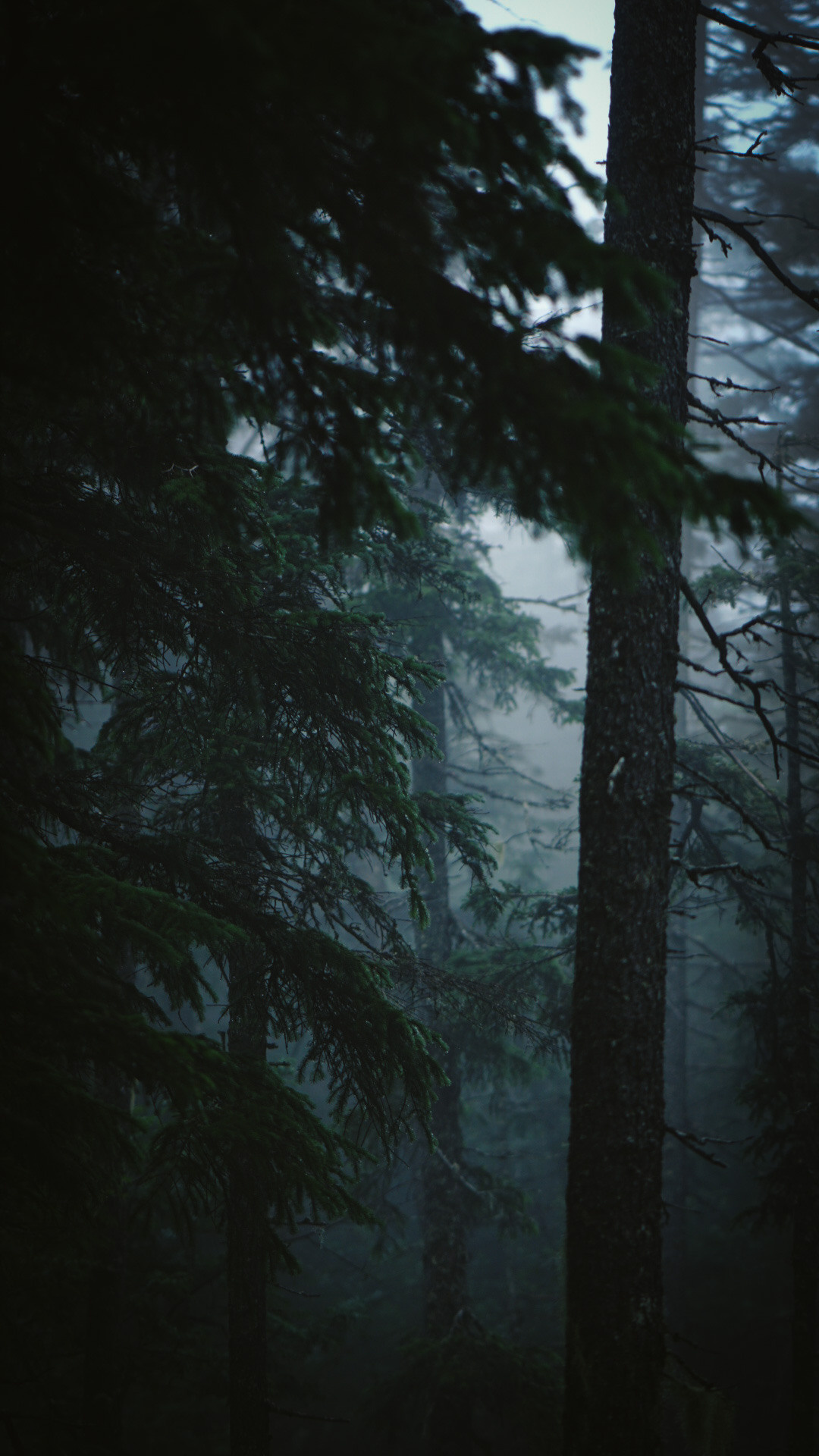 Фотограф в горах. Главная