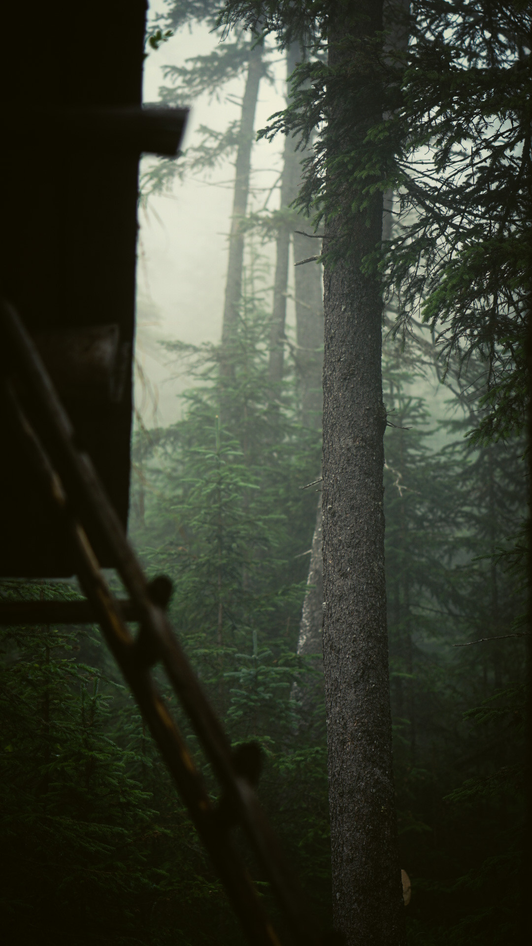 Фотограф в горах. Главная