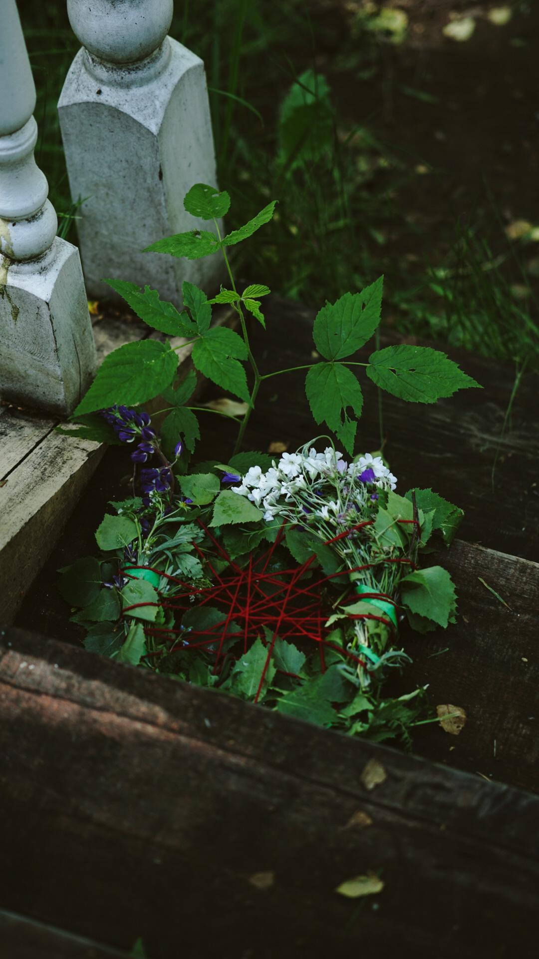 Ивана купала. Главная