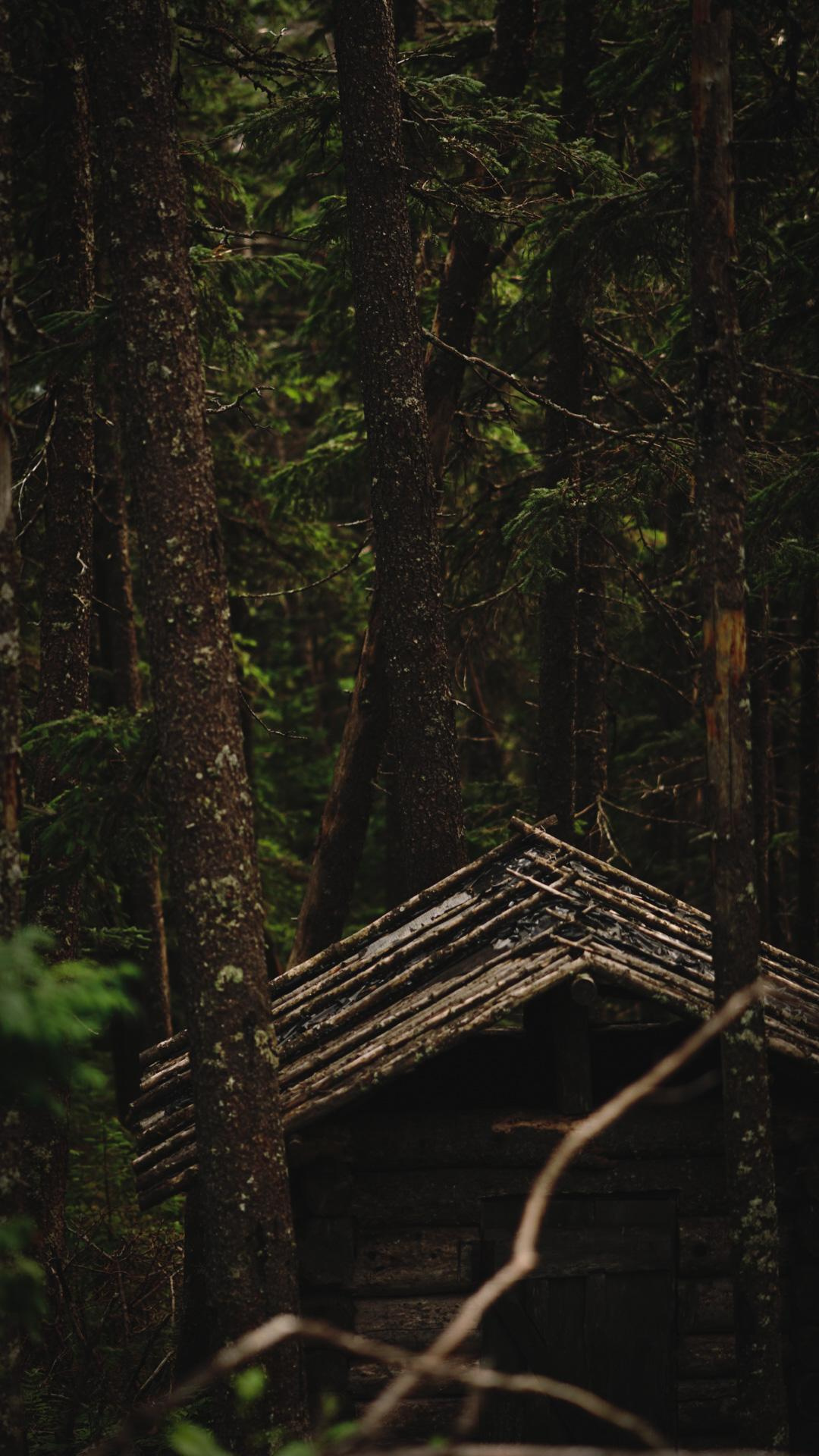 Чайная церемония (предметка). Главная