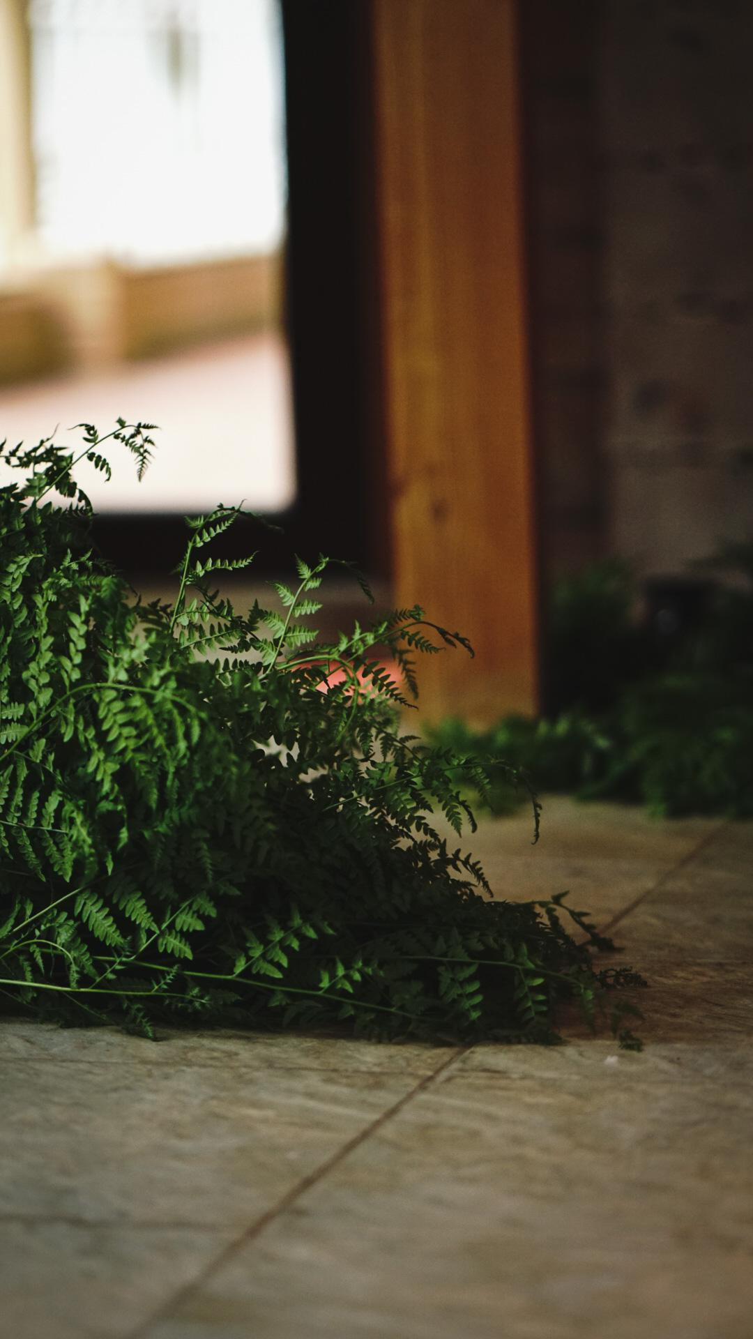 Ивана купала. Главная