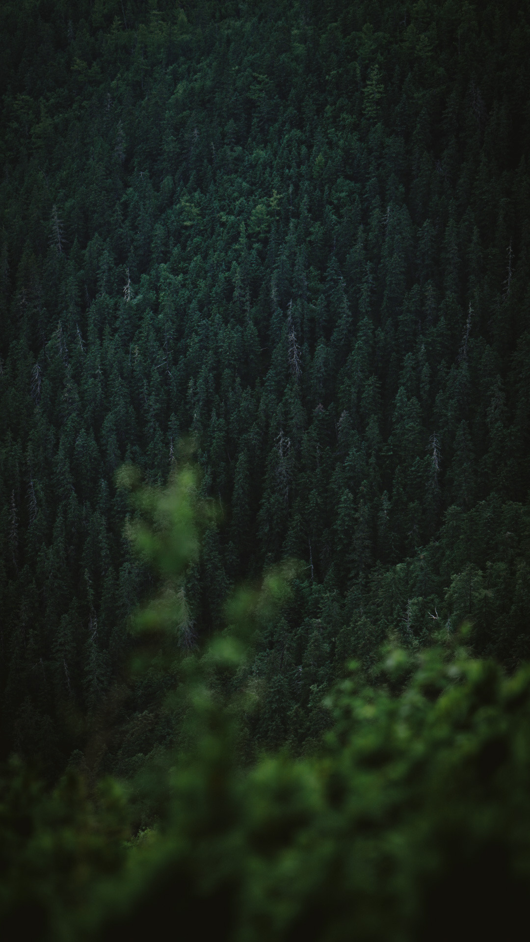 Фотограф в горах. Главная