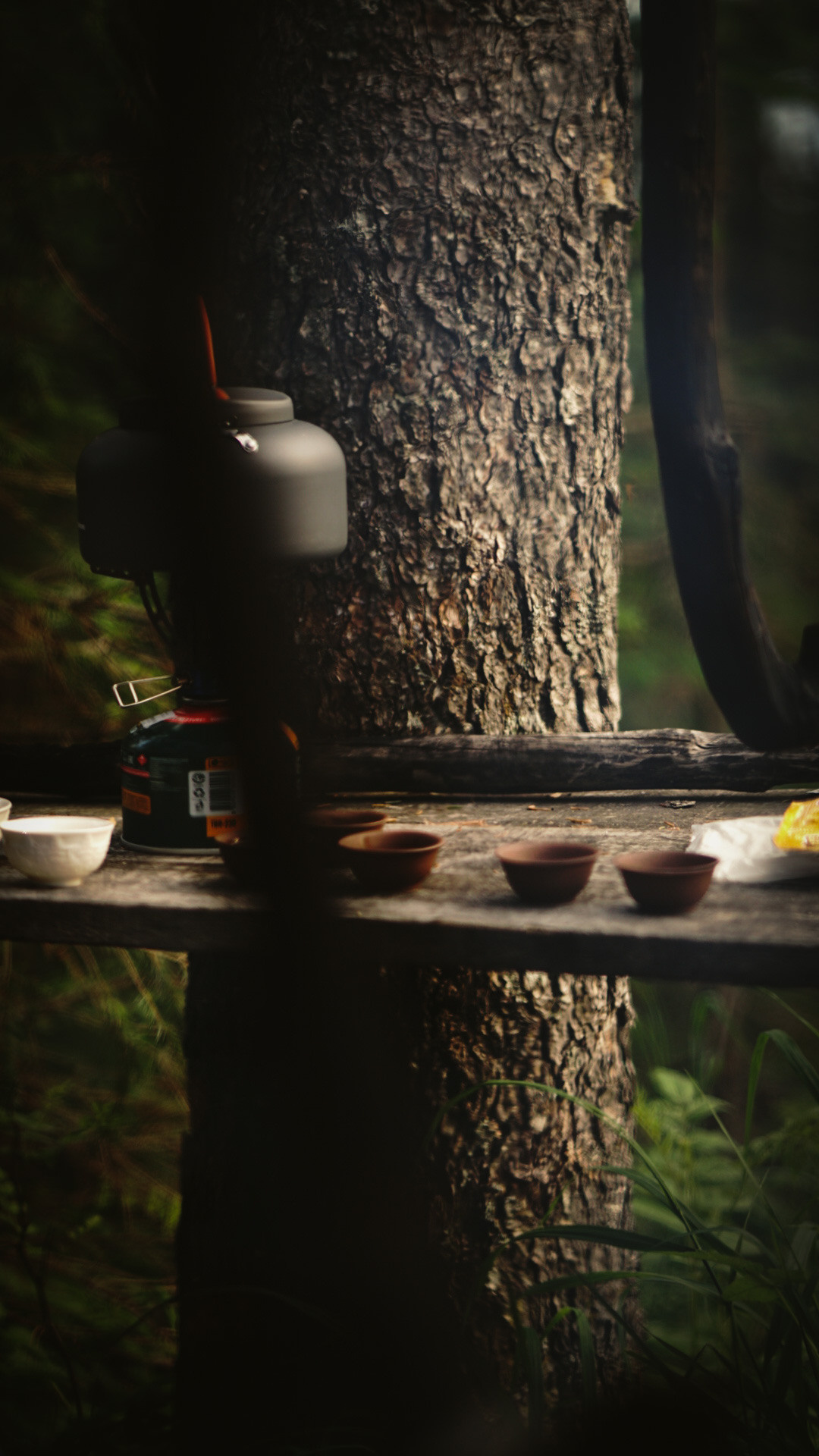 Фотограф в горах. Главная