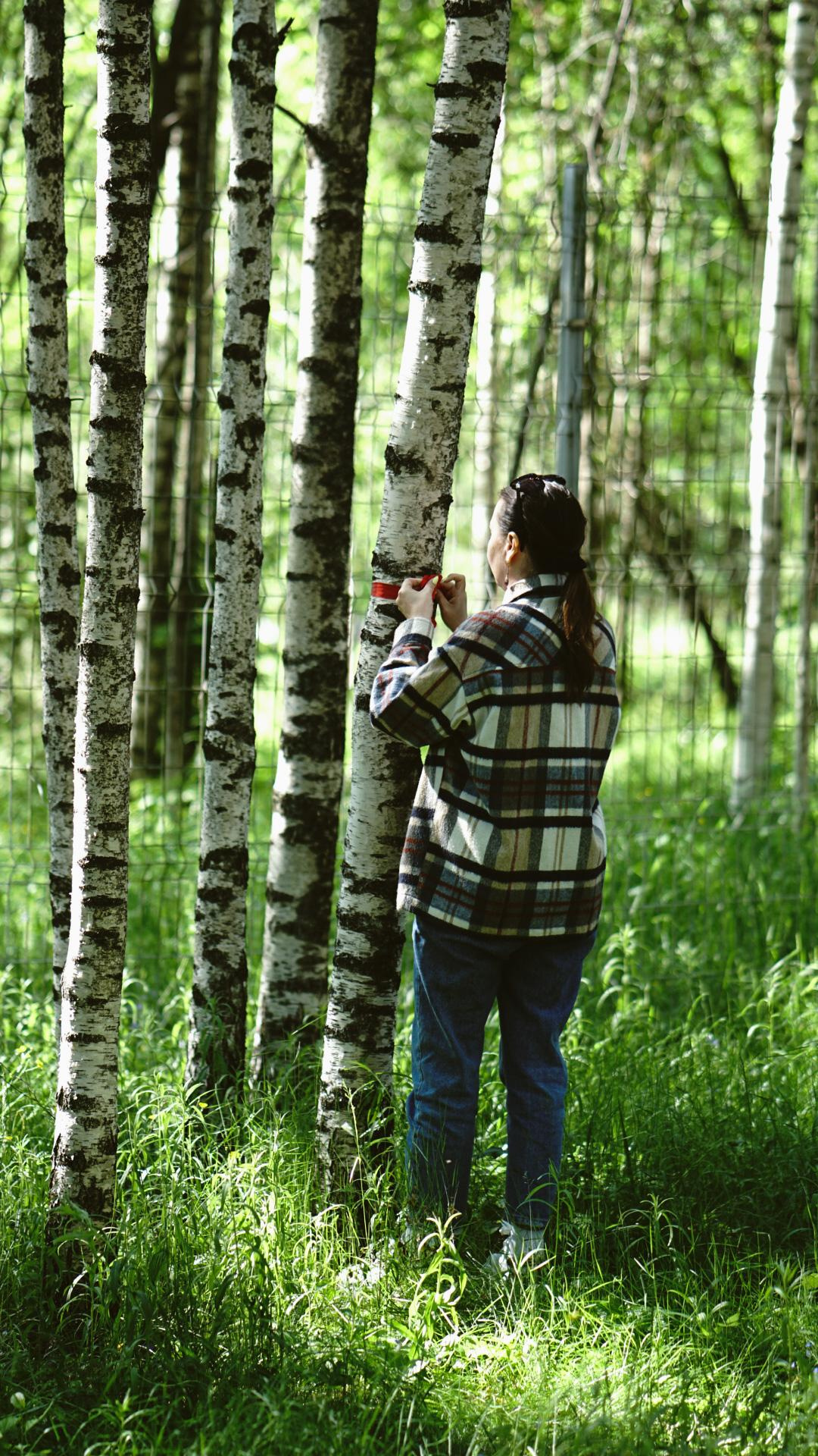 Ивана купала. Главная