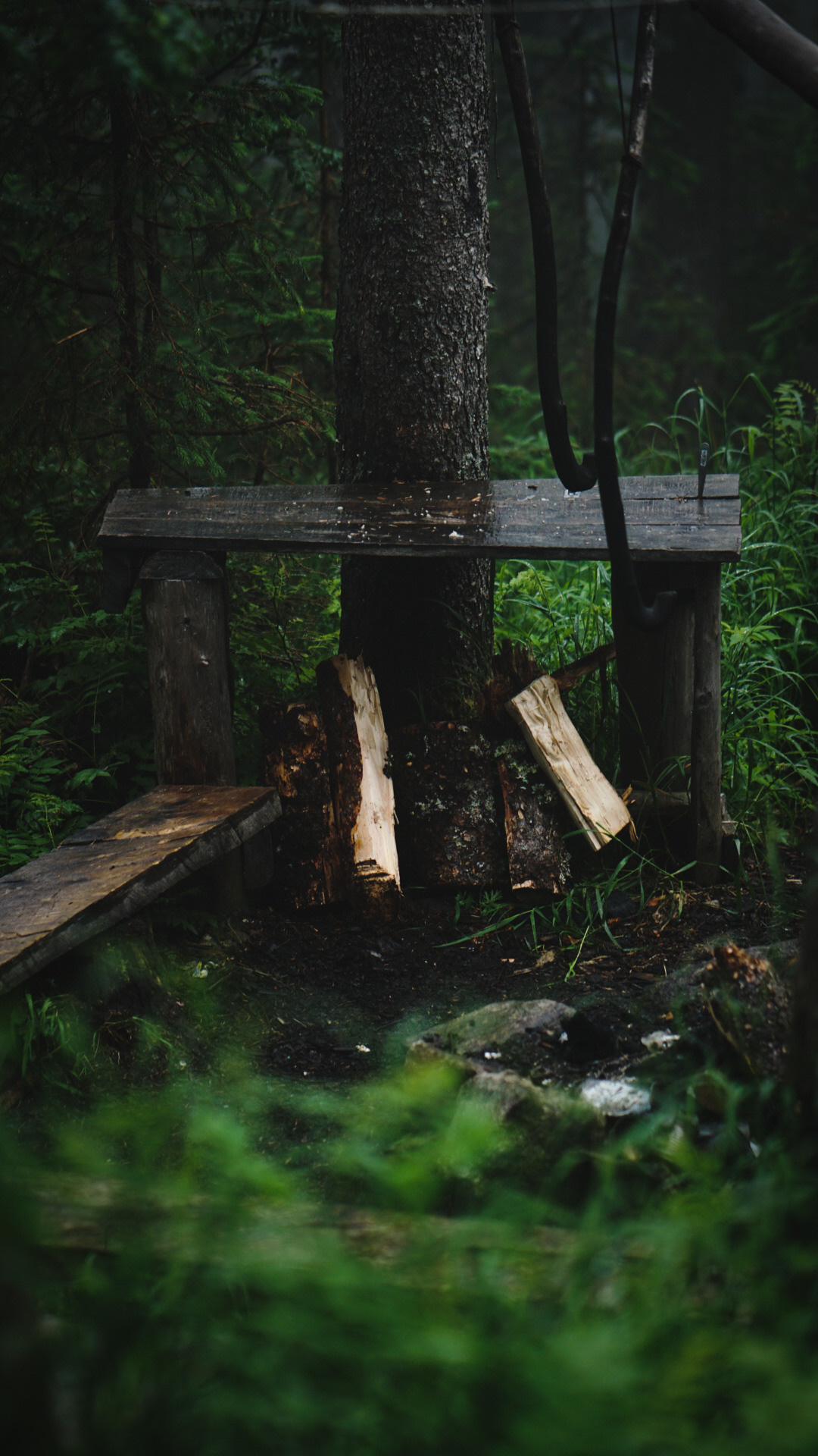 Фотограф в горах. Главная