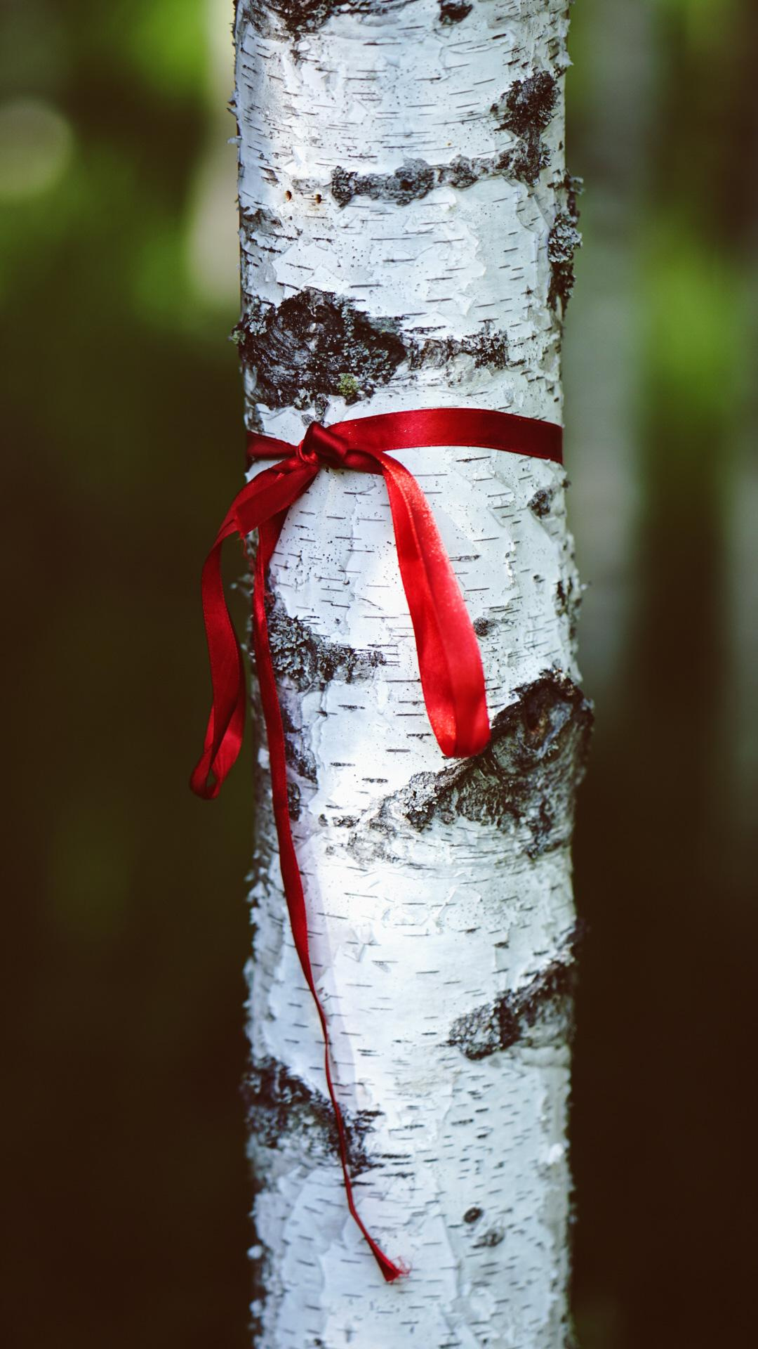 Ивана купала. Главная