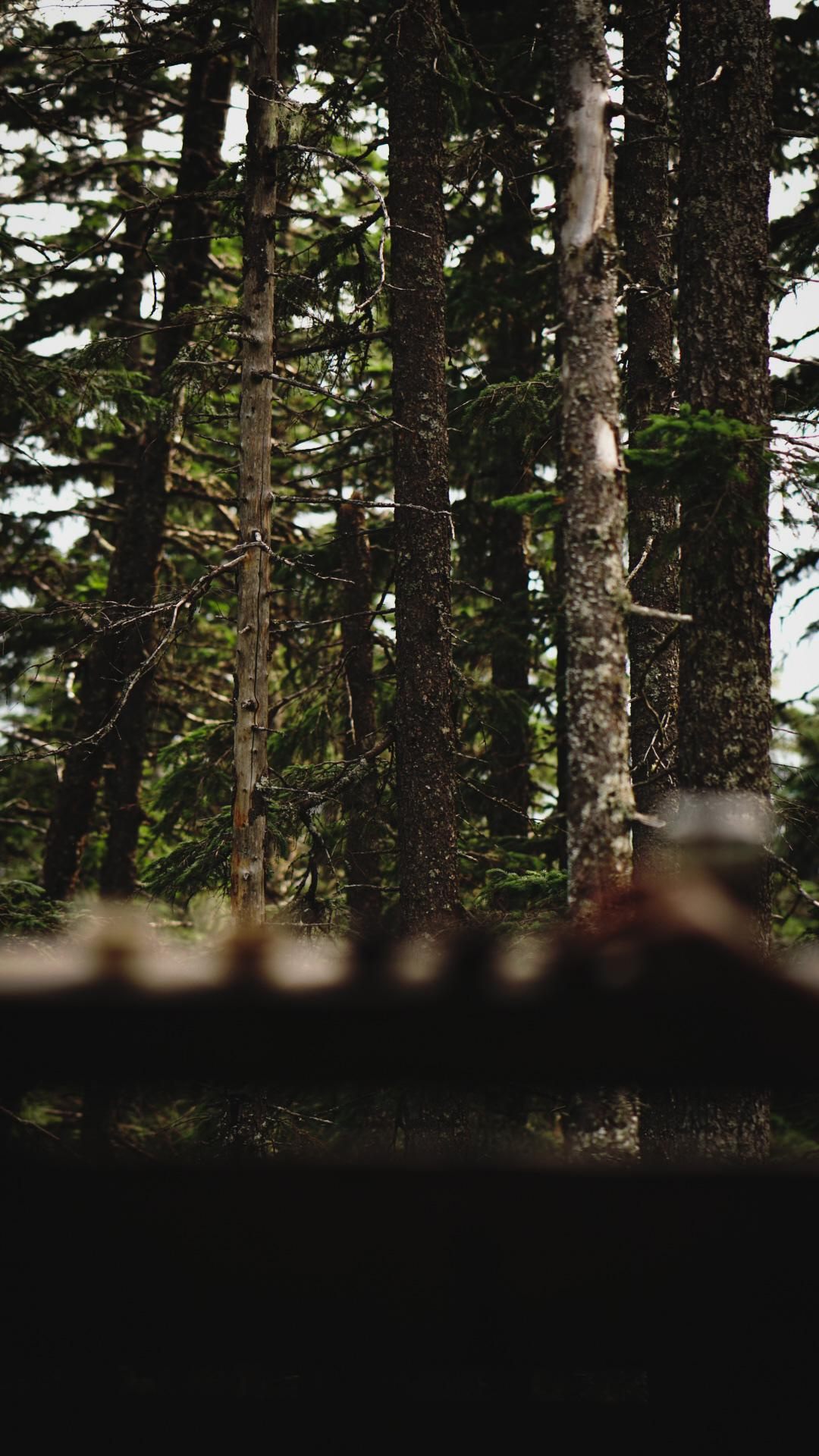 Чайная церемония (предметка). Главная