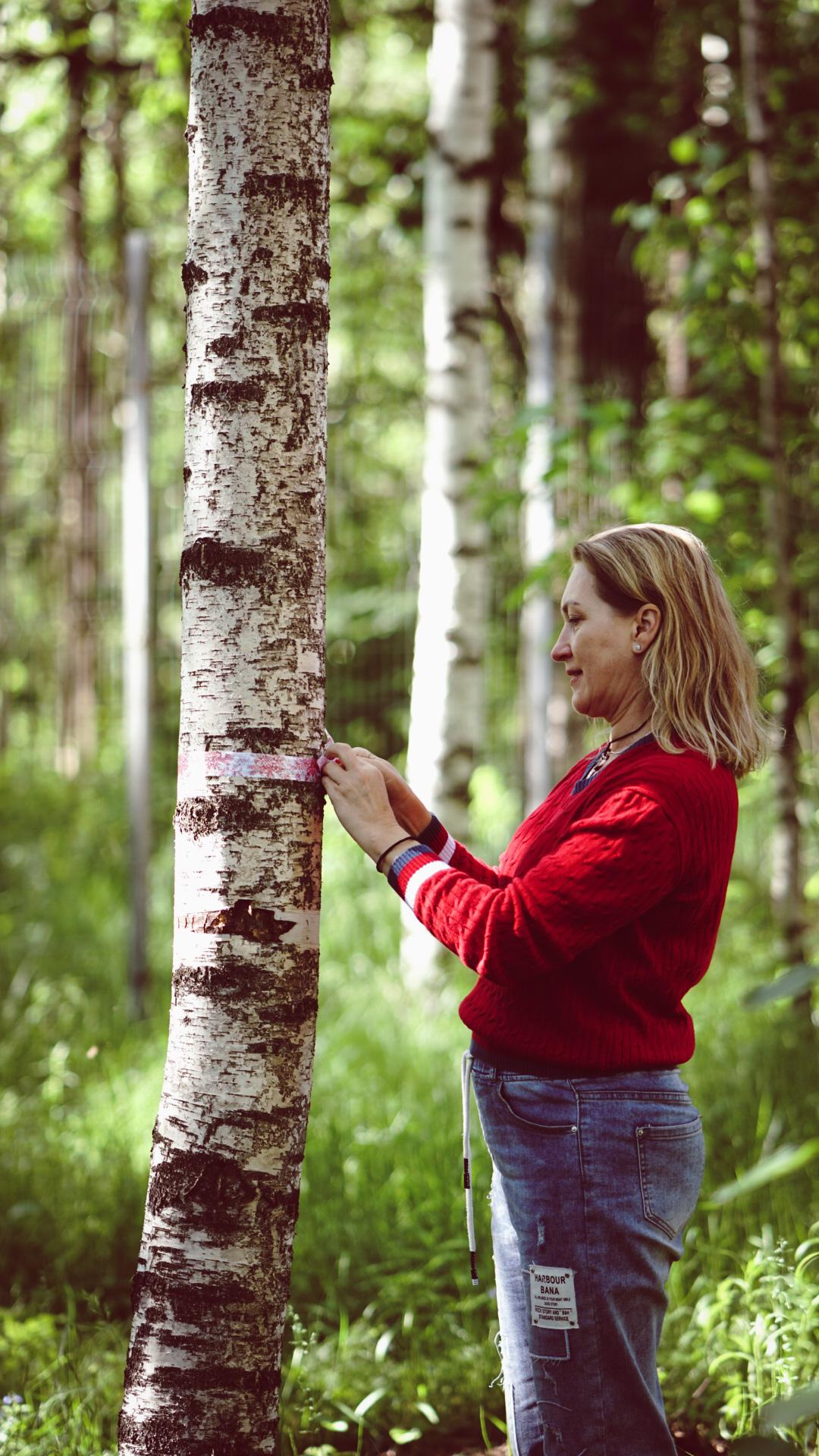 Ивана купала. Главная