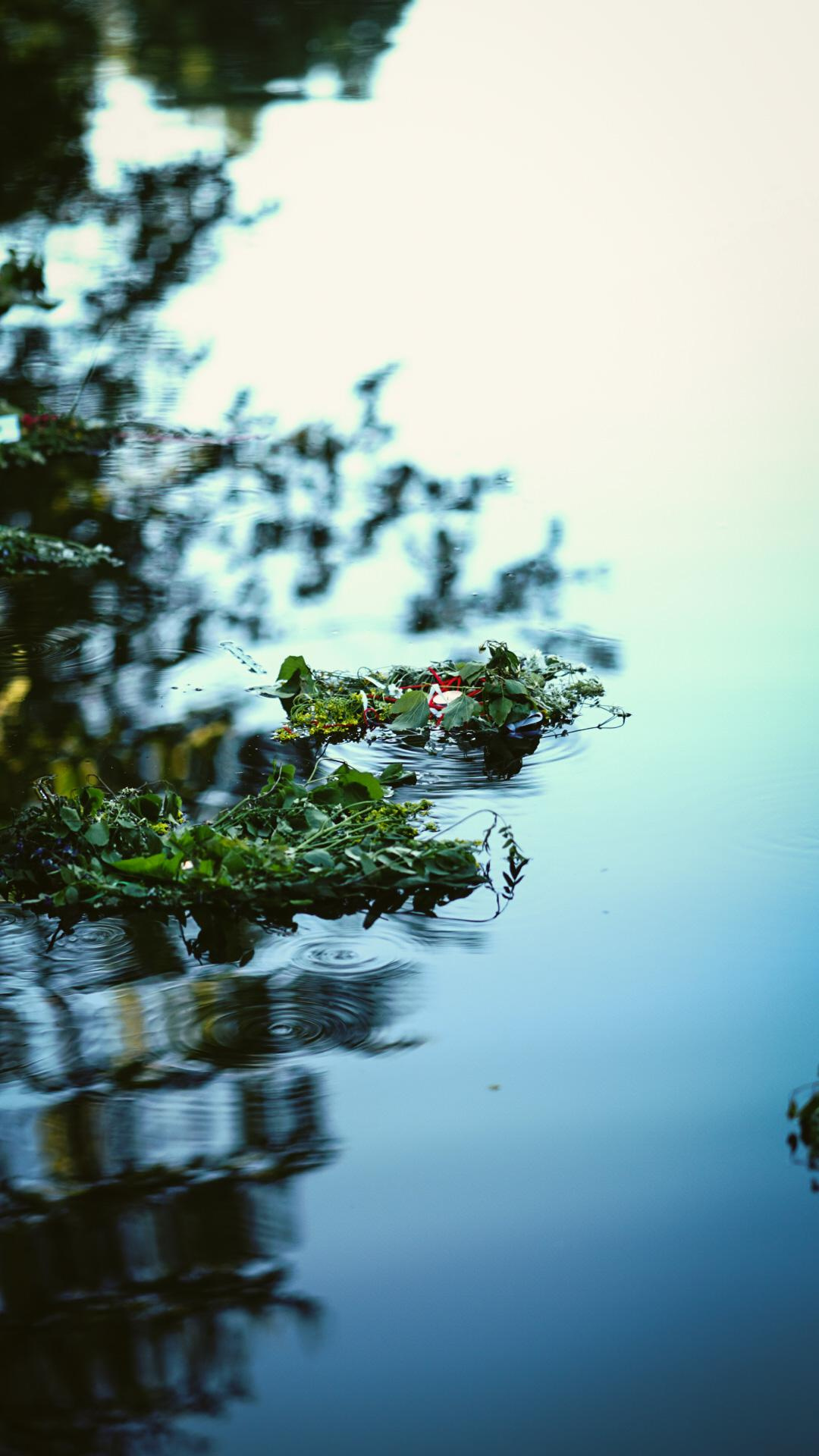 Ивана купала. Главная