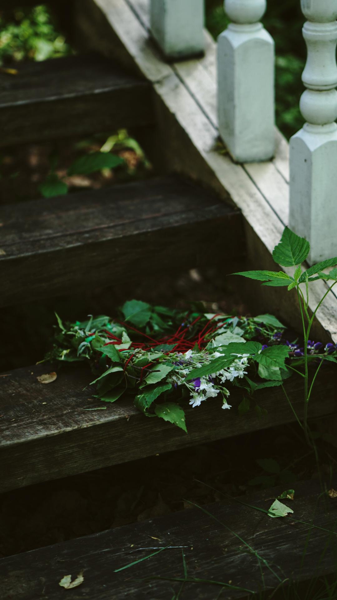 Ивана купала. Главная