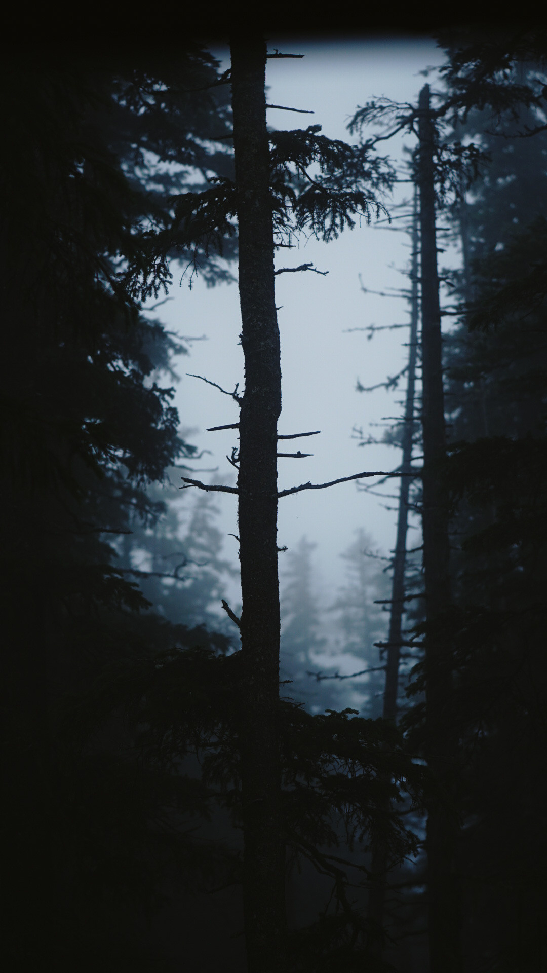 Фотограф в горах. Главная