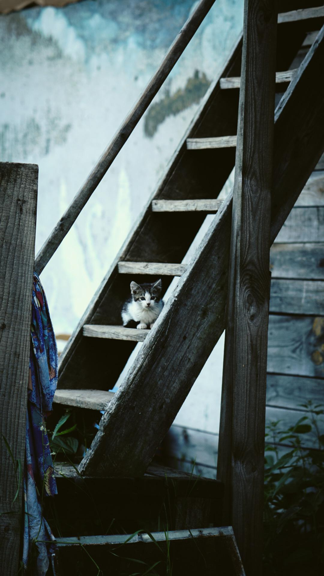 Ивана купала. Главная