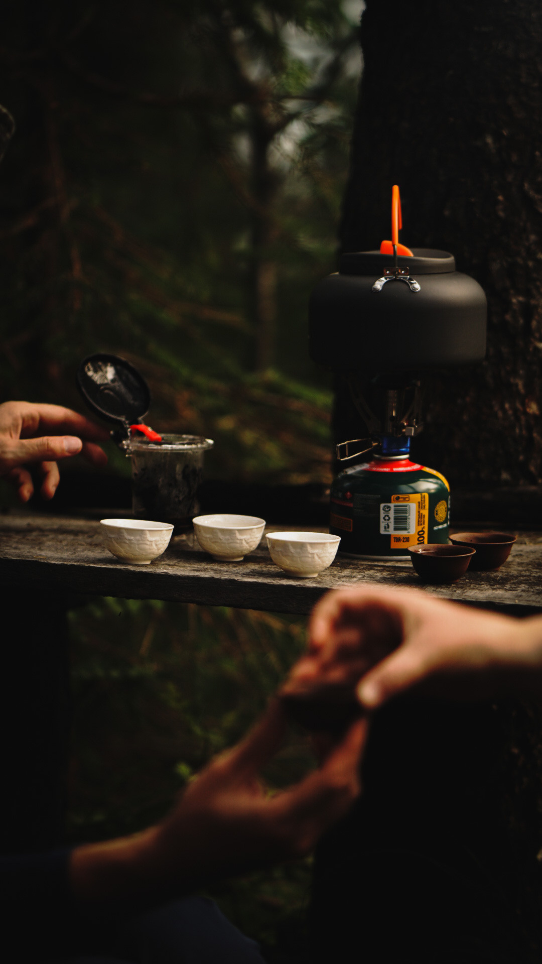 Фотограф в горах. Главная