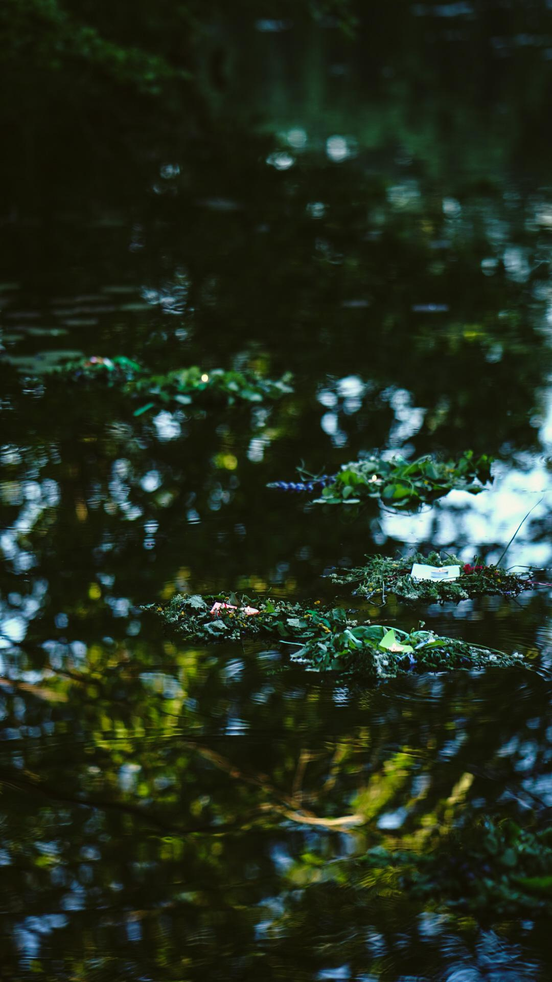 Ивана купала. Главная