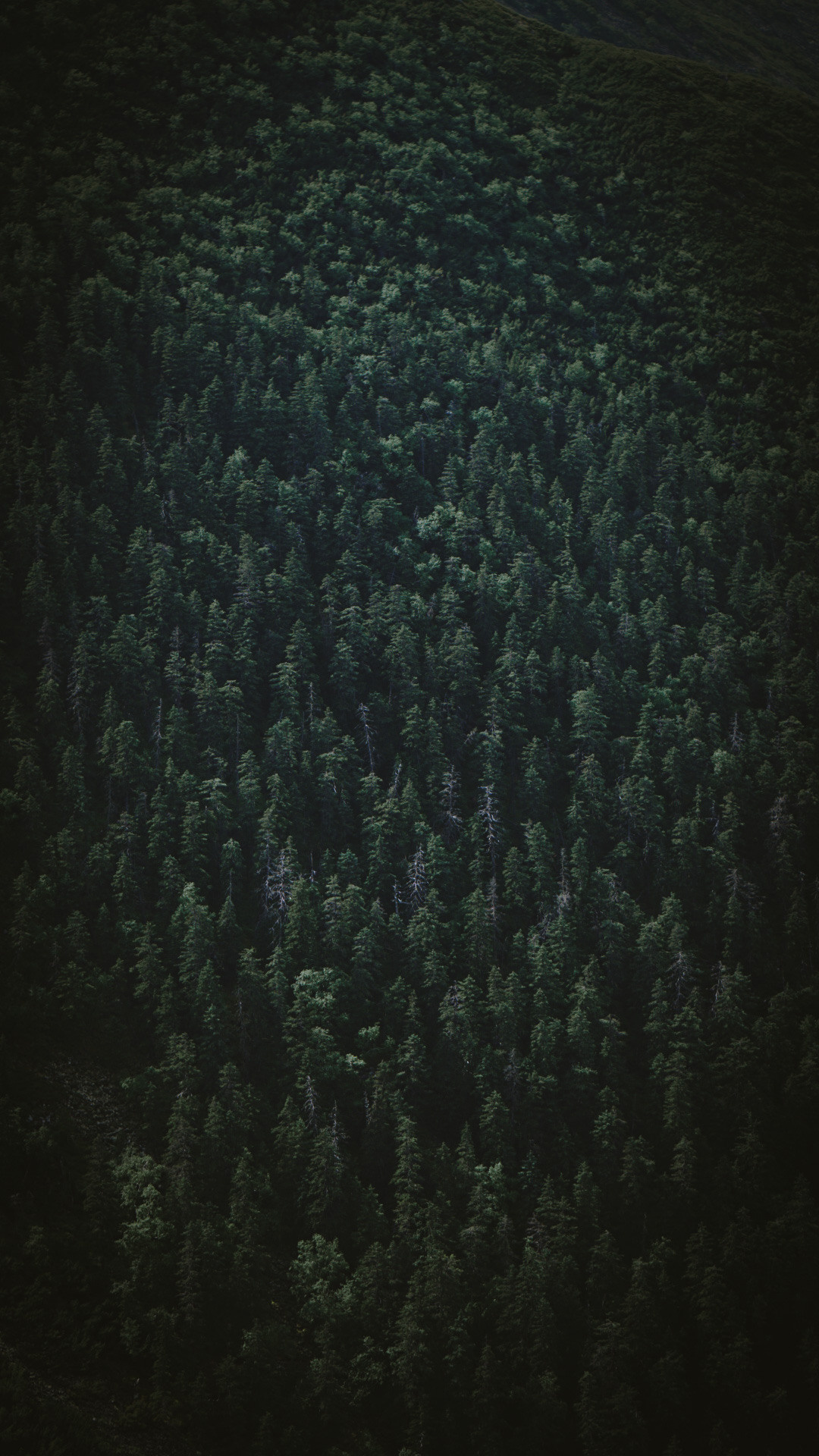 Фотограф в горах. Главная