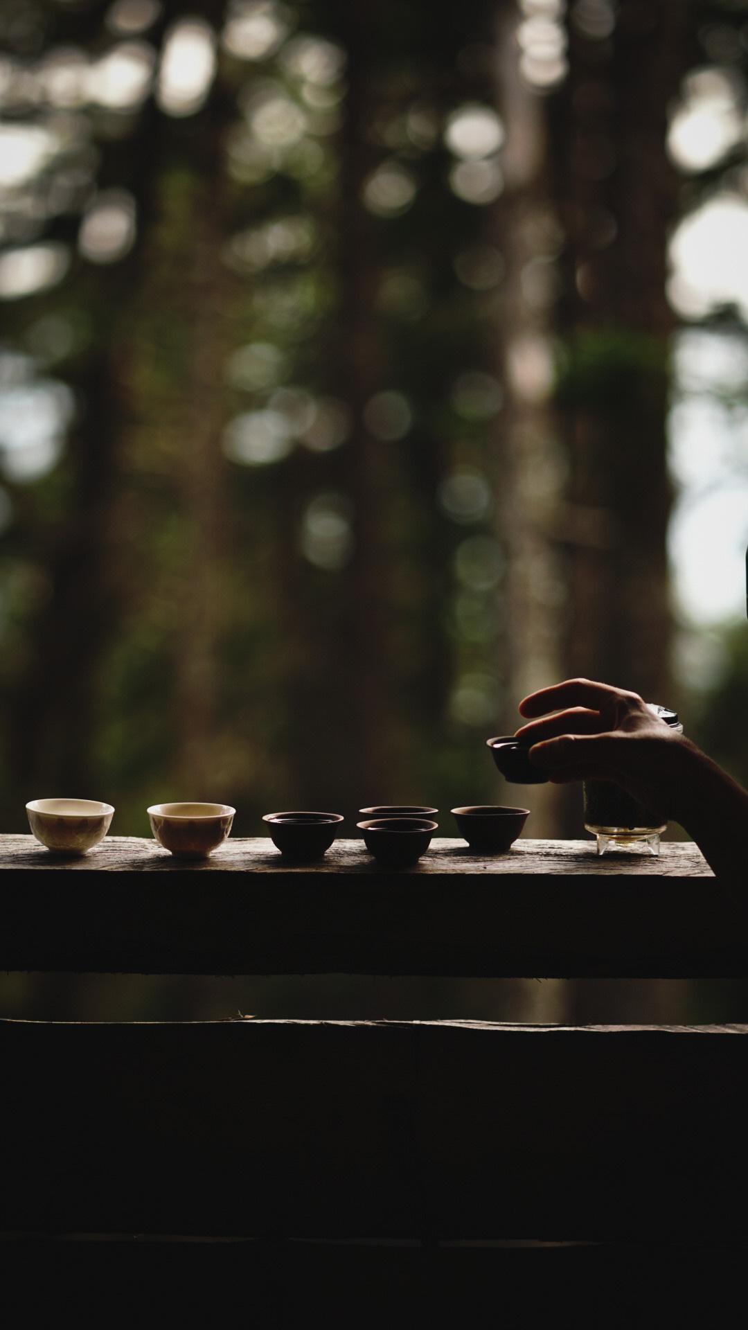 Фотограф в горах. Главная