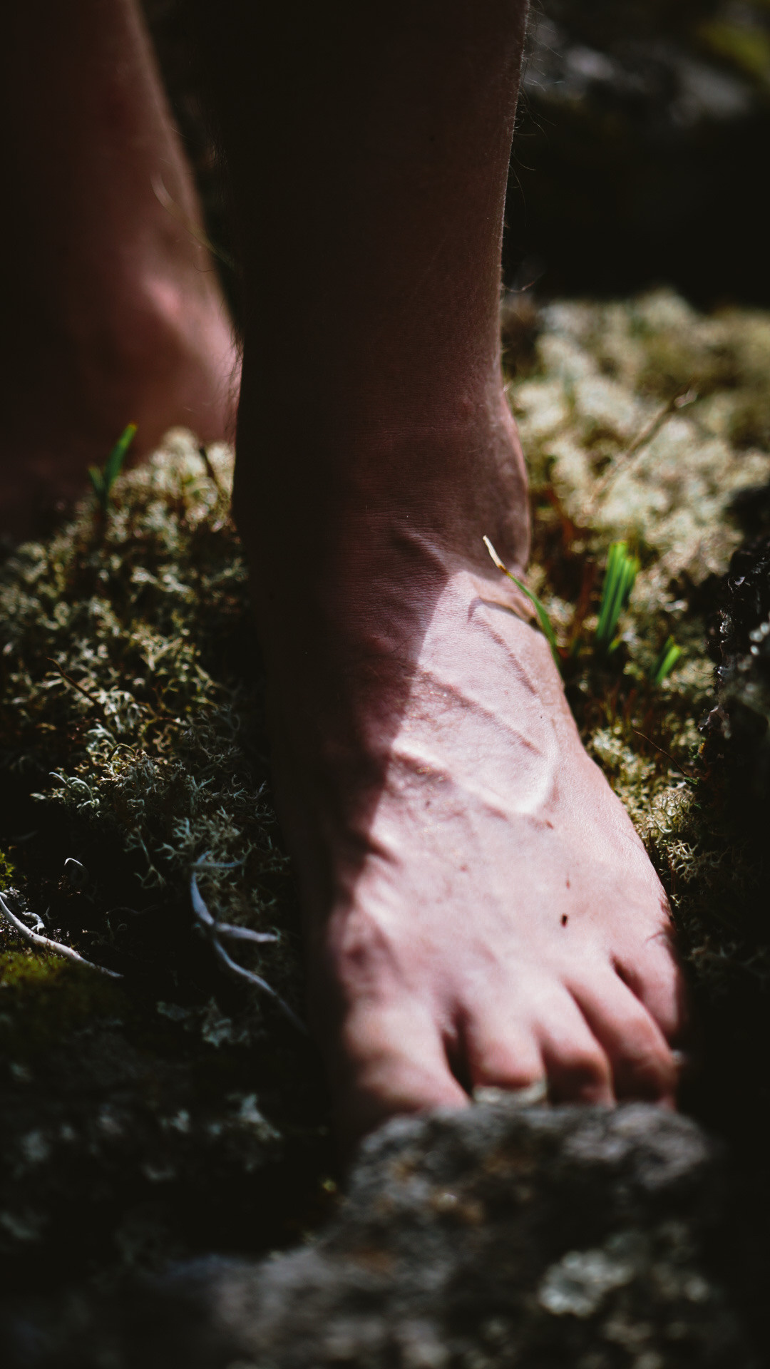 Фотограф в горах. Главная