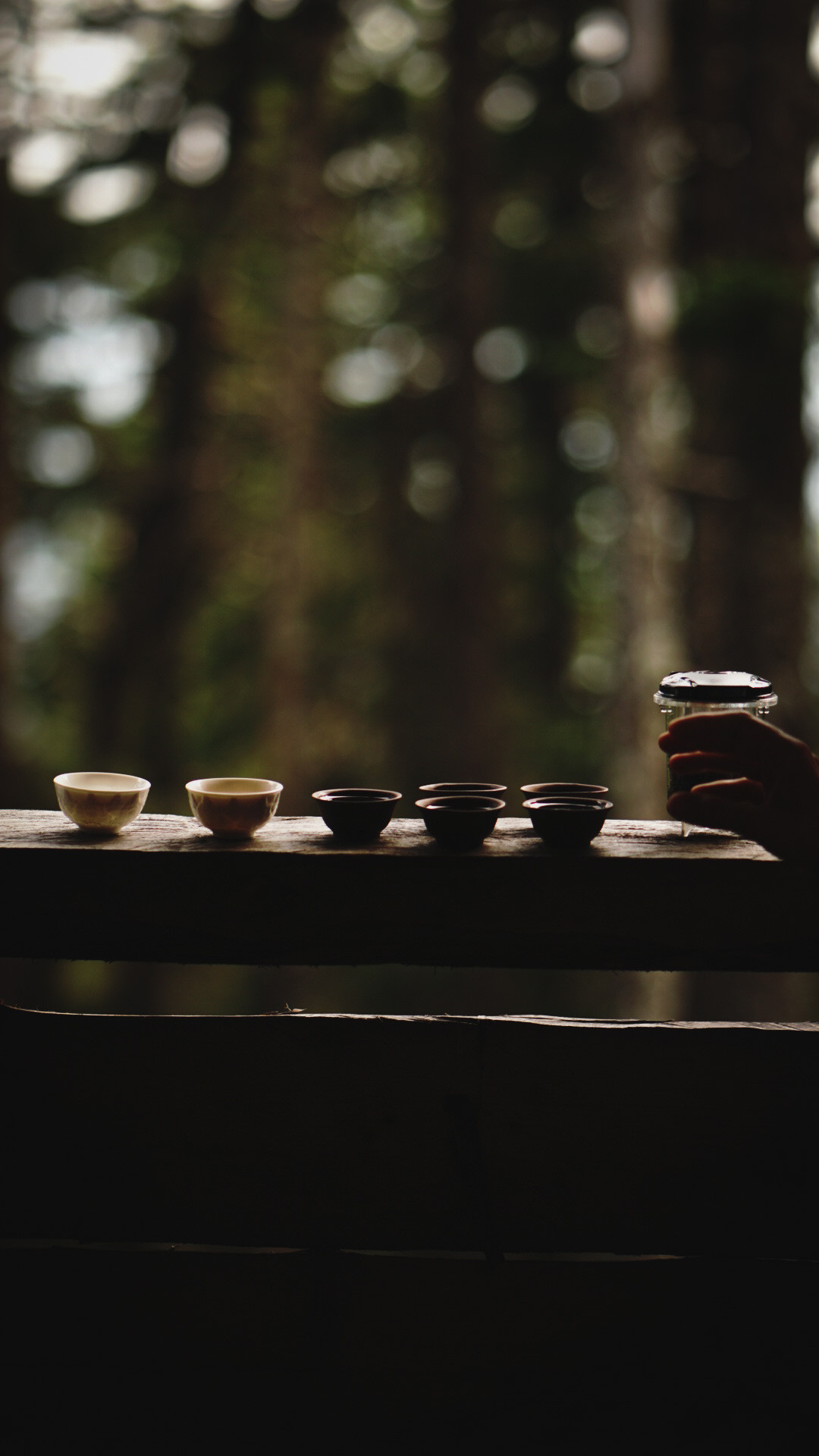 Фотограф в горах. Главная