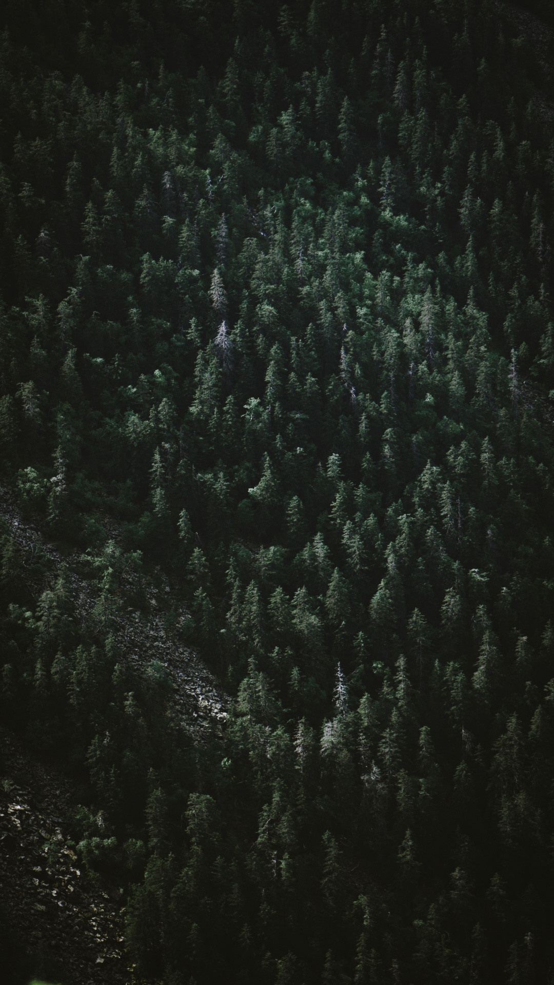 Фотограф в горах. Главная